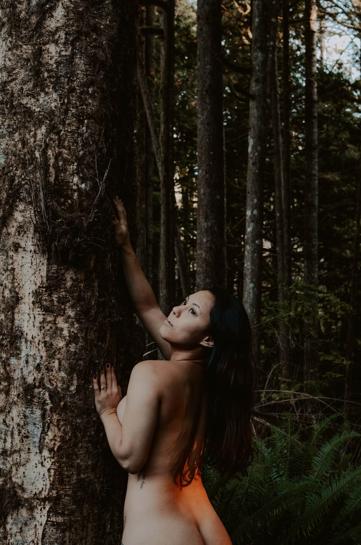 boudoir, seattle-boudoir, seattle-boudoir-photographer, boudoir-photographer, boudoir-photography, boudoir-session, boudoir-photos, wallace-falls-washington, wallace-falls, forest, outdoor-boudoir, naked-in-the-woods, trees, evergreen-trees, ferns, flower-crown, headpiece, 