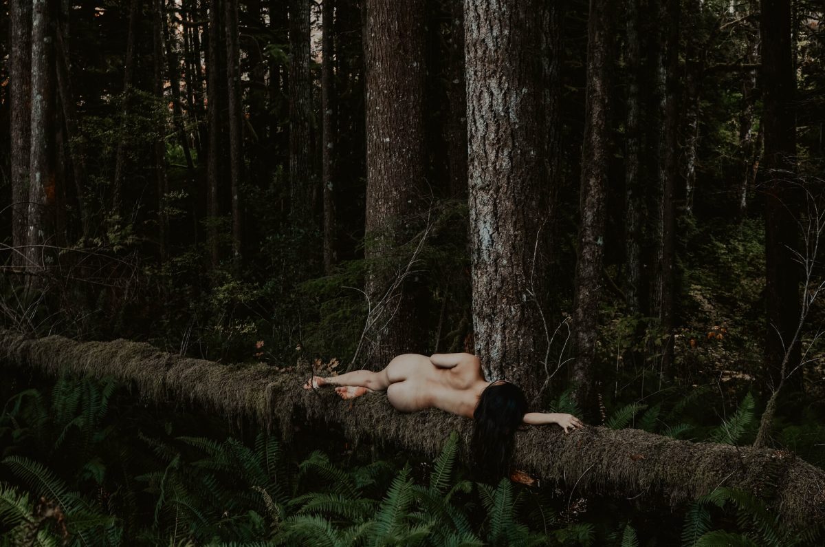 boudoir, seattle-boudoir, seattle-boudoir-photographer, boudoir-photographer, boudoir-photography, boudoir-session, boudoir-photos, wallace-falls-washington, wallace-falls, forest, outdoor-boudoir, naked-in-the-woods, trees, evergreen-trees, ferns, flower-crown, headpiece, 