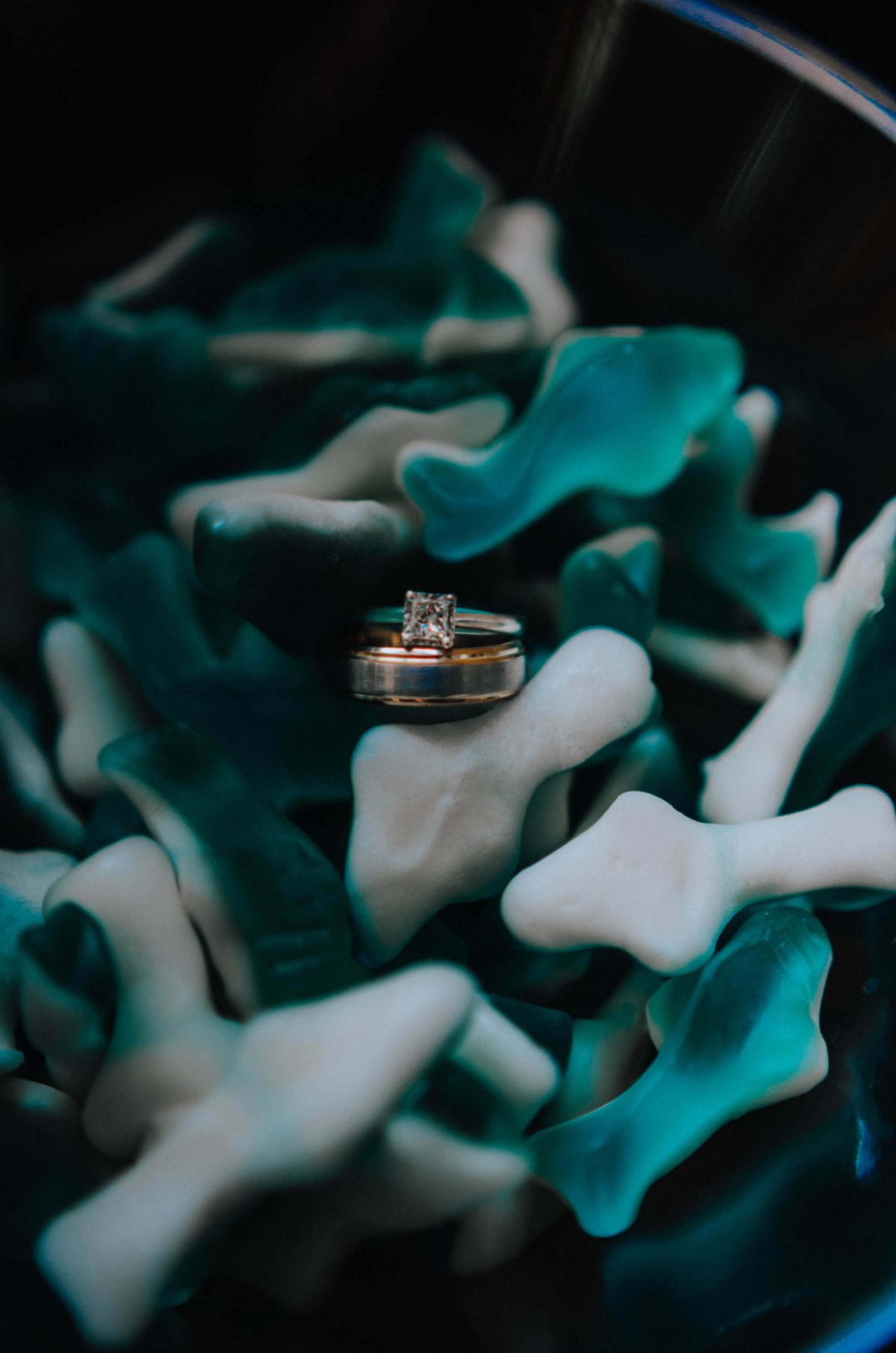 fremont-wedding, seattle-wedding, seattle-wedding-photographer, wedding-photographer, gay, gay-wedding, seattle-gay-wedding, bowtie-wedding, blue-dress-wedding, lake-union, tattooed-girls, wife-and-wife, wedding-photos, wedding-photographey, 