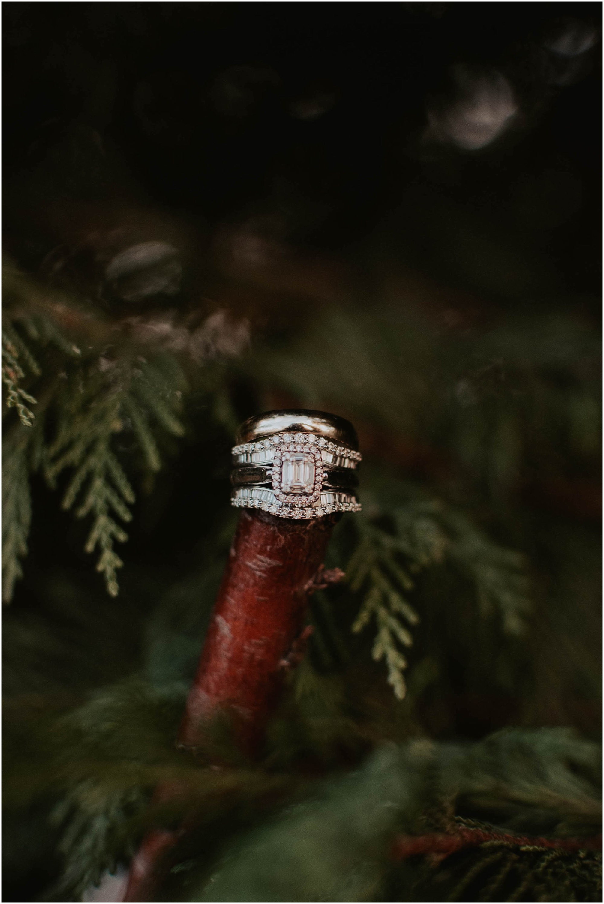 DIY-Wedding, Burlington-Wedding, Tent-Wedding, Tent-Wedding-photos, Everett-Wedding-Photos, Everett-Wedding-Photographer, Seattle-Wedding-Photographer, Winter-Wedding-Photos, Burlington-Wedding-Photography, Everett-Wedding-Venue, Kendra-K-Photo,