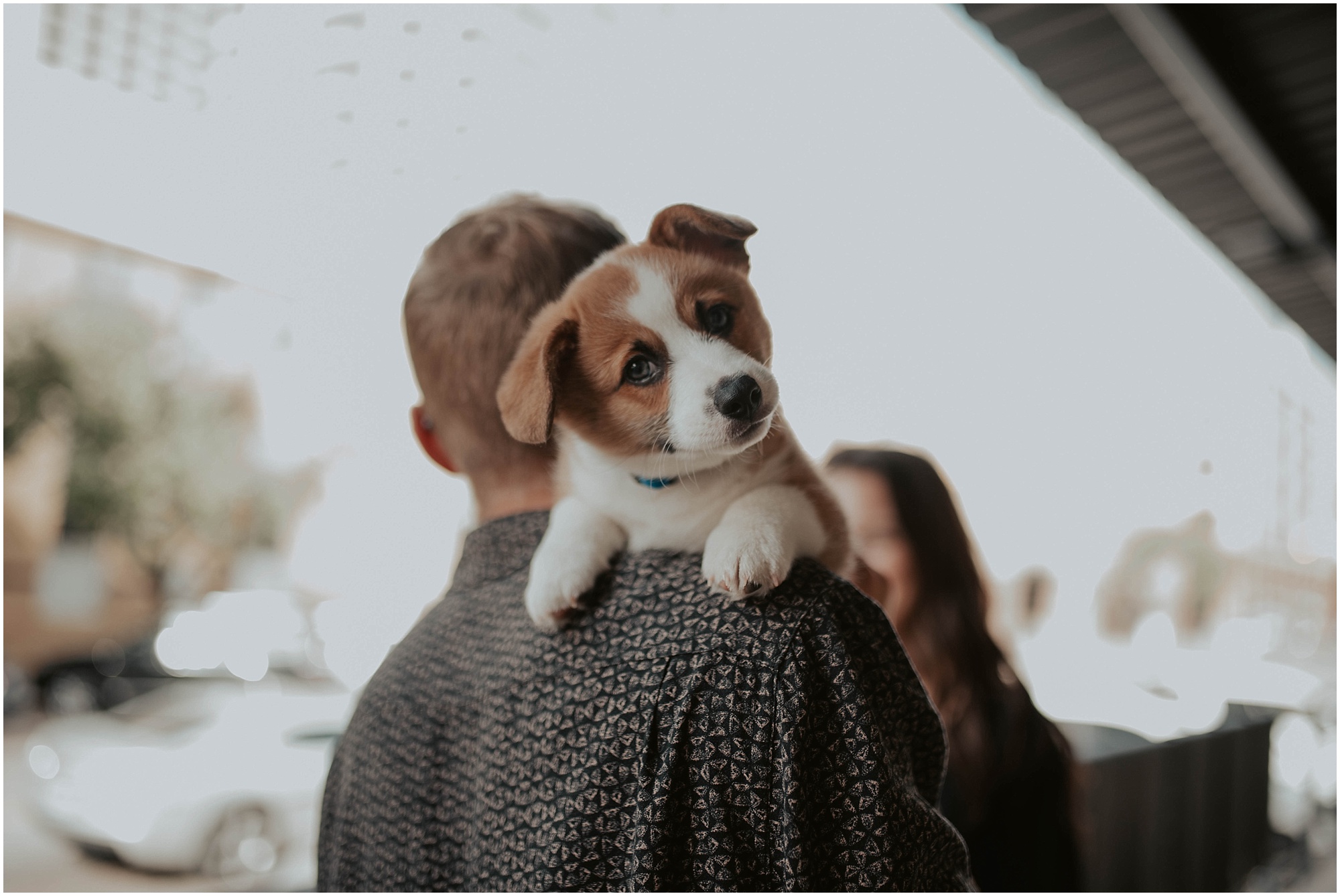 engaged, corgi, corgi-puppy, corgi-family-session, engagement-photos, Austin-Texas, Austin-engagement- Austin-wedding-photographer, Austin-Photos, Austin-Engagement-Photos, City-Couple, engagement-inspo, Texas-Engagement-Session, Downtown-Austin-Engagement, Corgi-photos, Seattle-Wedding-Photos, Seattle-Wedding-Photographer,