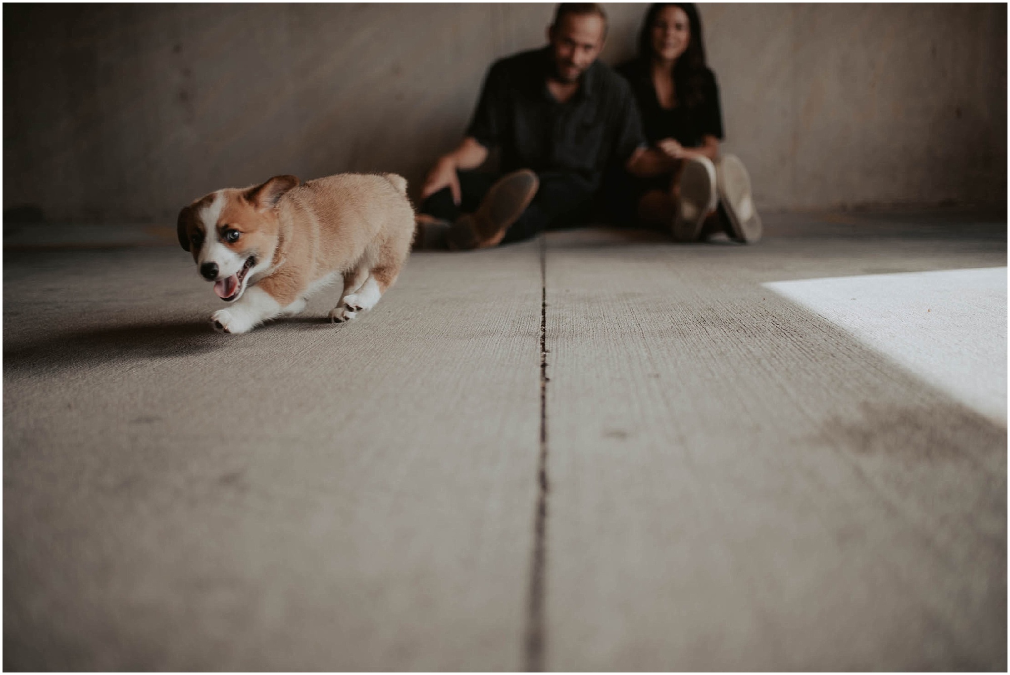 engaged, corgi, corgi-puppy, corgi-family-session, engagement-photos, Austin-Texas, Austin-engagement- Austin-wedding-photographer, Austin-Photos, Austin-Engagement-Photos, City-Couple, engagement-inspo, Texas-Engagement-Session, Downtown-Austin-Engagement, Corgi-photos, Seattle-Wedding-Photos, Seattle-Wedding-Photographer,