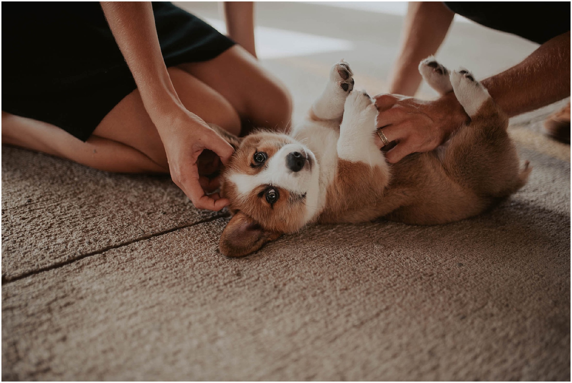 engaged, corgi, corgi-puppy, corgi-family-session, engagement-photos, Austin-Texas, Austin-engagement- Austin-wedding-photographer, Austin-Photos, Austin-Engagement-Photos, City-Couple, engagement-inspo, Texas-Engagement-Session, Downtown-Austin-Engagement, Corgi-photos, Seattle-Wedding-Photos, Seattle-Wedding-Photographer,