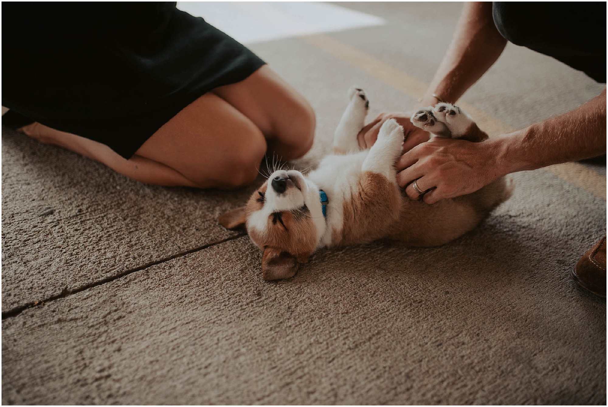 engaged, corgi, corgi-puppy, corgi-family-session, engagement-photos, Austin-Texas, Austin-engagement- Austin-wedding-photographer, Austin-Photos, Austin-Engagement-Photos, City-Couple, engagement-inspo, Texas-Engagement-Session, Downtown-Austin-Engagement, Corgi-photos, Seattle-Wedding-Photos, Seattle-Wedding-Photographer,