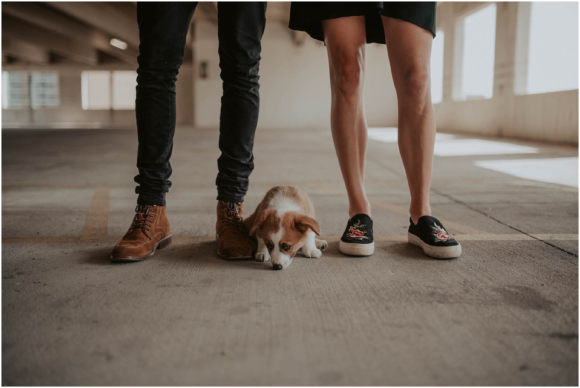 engaged, corgi, corgi-puppy, corgi-family-session, engagement-photos, Austin-Texas, Austin-engagement- Austin-wedding-photographer, Austin-Photos, Austin-Engagement-Photos, City-Couple, engagement-inspo, Texas-Engagement-Session, Downtown-Austin-Engagement, Corgi-photos, Seattle-Wedding-Photos, Seattle-Wedding-Photographer,