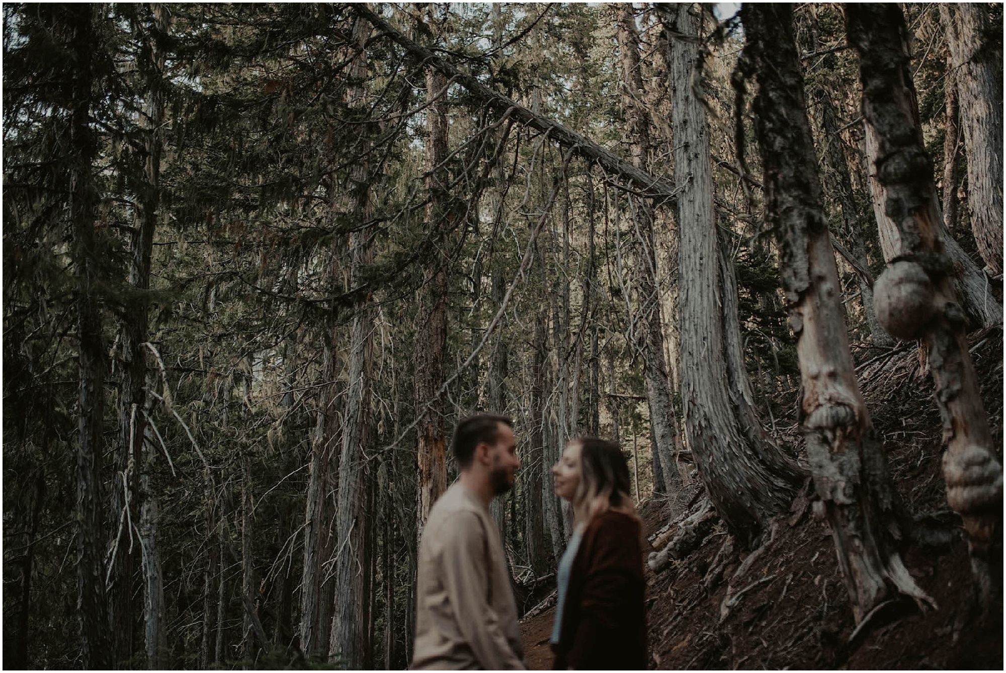 Adventure-Session, engagement-photos, Hurricane-Ridge, Olympic-National-Park- seattle-wedding-photographer, Hurricane-Ridge-Photos, Olympic-National-Forest, engagement-inspo, Washington-Engagement-Session, Mountain-Engagement, Adventure-Engagement, Hurricane-Ridge-Engagement, Tatted-Couple, Tatted-Lovers,