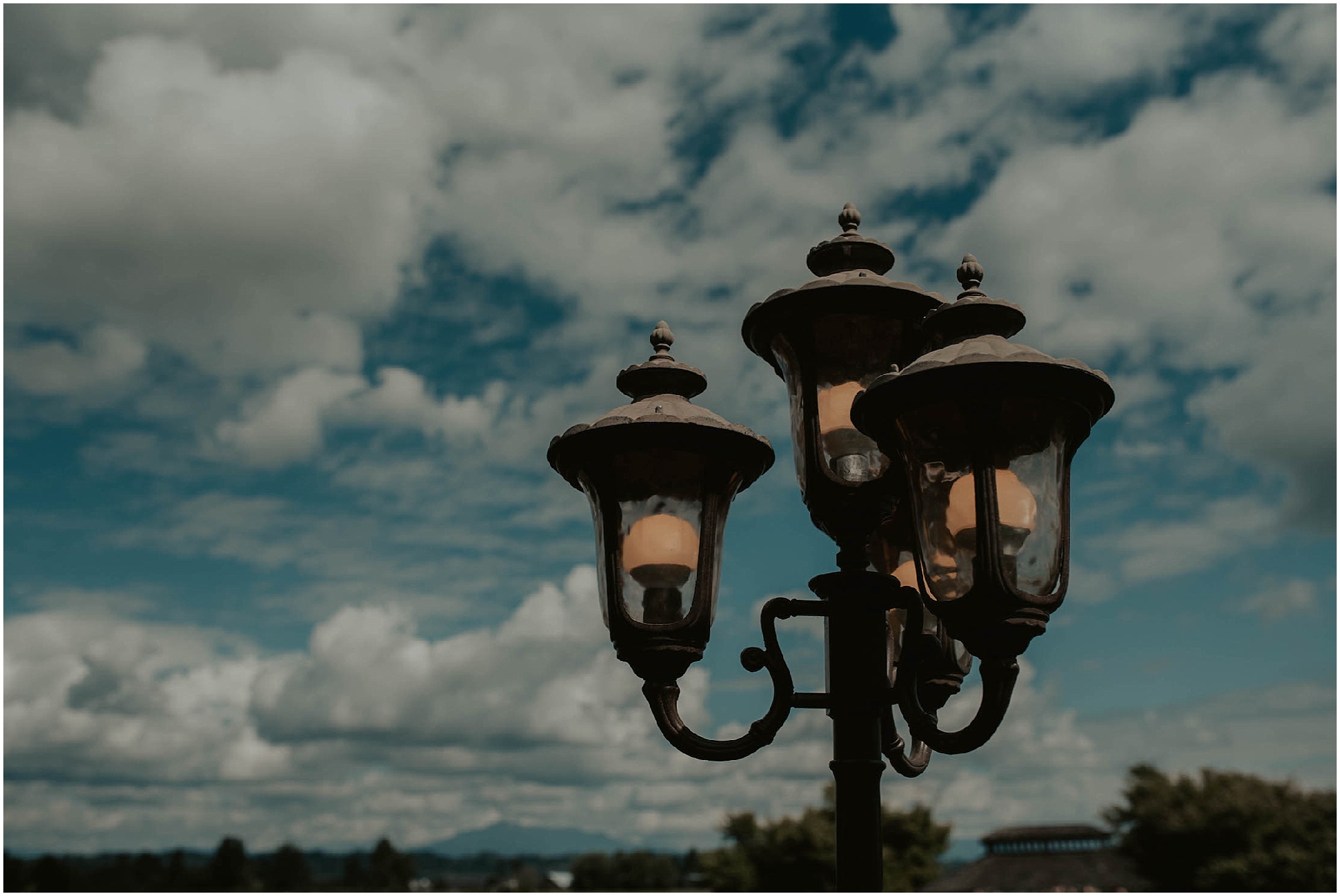 Hidden-Meadows-Wedding, Woodinville-Wedding, Hidden-Meadows-Wedding-Photos, Seattle-Wedding-Photos, Seattle-Wedding-Photographer, Woodinville-Wedding-Photographer, Winery-Wedding-Photos, Windery-Wedding-Photography, Woodinville-Wedding-Venue, Kendra-K-Photo, Winery-Wedding,