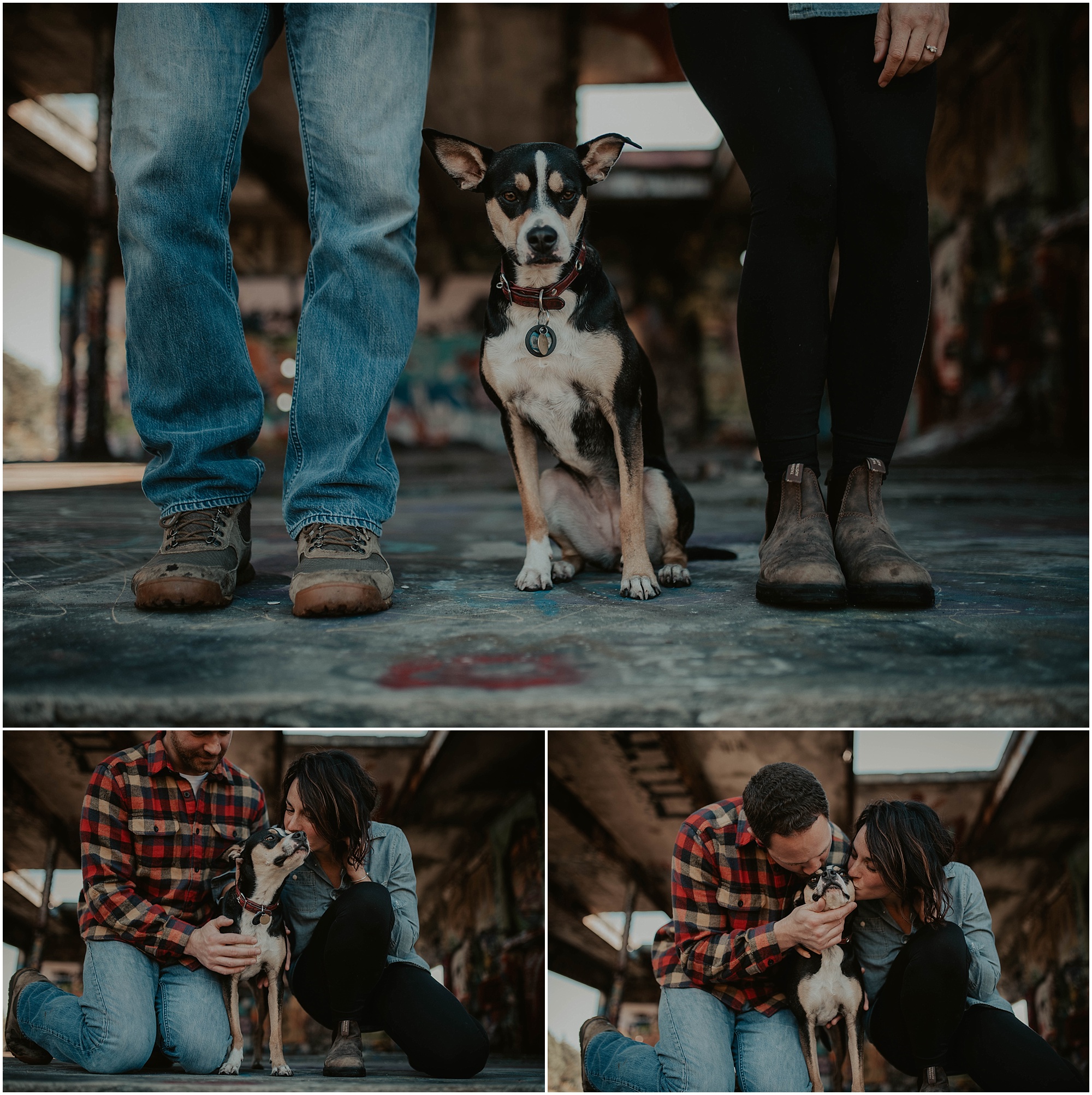 Adventure-Session, engagement-photos, Bainbridge-Island, Hike-Engagement, Seattle-Wedding-Photographer, Bainbridge-Photos, Bainbrideg-Engagement, Engagement-Session, Washington-Engagement-Session, Dog-Engagement-Session, Dog-Photos, Dog-Photographer, PNW-Dog, Dog-Parents, Adventure-Session, engagement-photos, Bainbridge-Island, Hike-Engagement, Seattle-Wedding-Photographer, Bainbridge-Photos, Bainbrideg-Engagement, Engagement-Session, Washington-Engagement-Session, Dog-Engagement-Session, Dog-Photos, Dog-Photographer, PNW-Dog, Dog-Parents,