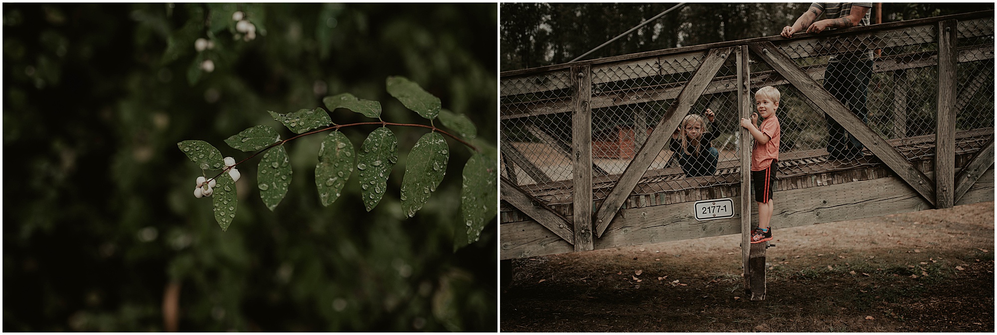 Camping-Wedding, Camping-Wedding-Photos, Seattle-Wedding, Seattle-Wedding-Photographer, Outdoor-Wedding, Carnation-Wedding-Photos, Washington-Wedding, DIY-Wedding, DIY-Camping-Wedding, Succulent-Wedding, Floral-Wedding, RV-Wedding, RV-Life-Couple, Washington-Wedding-Photographer, Winnebago, Winnebago-Camper, Adventure-Wedding, DIY-Wedding-Decorations, Handmade-Wedding-Decorations, Wedding-Decor, Crystals,