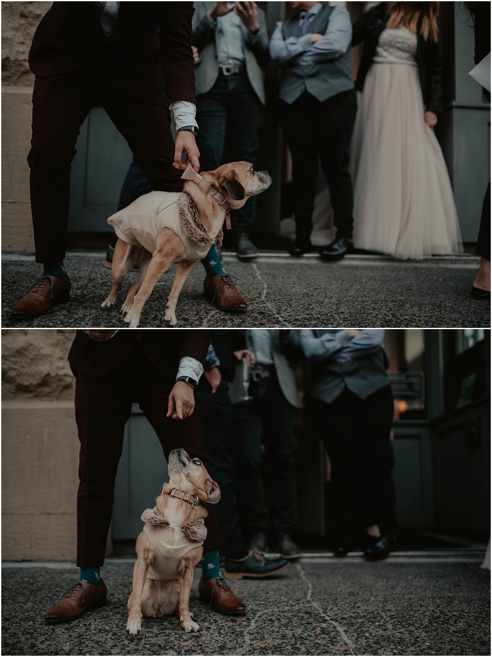 Seattle-Wedding, Seattle-Wedding-Photos, Seattle-Wedding-Photographer, Downtown-Seattle-Wedding, Gas-Works-Park, Copal, Copal-Seattle, Good-Bar-Seattle, Good-Bar, Gas-Works-Park-Wedding-Photos, Washington-Wedding, Bride-Bride, LGBTQ-Wedding-Photographer, Bride-And-Bride, Gay-Wedding, RV-Weddings, Downtown Seattle, Washington-Wedding-Photographer, Brides, Brides-To-Be, Pink-Wedding-Dress, 