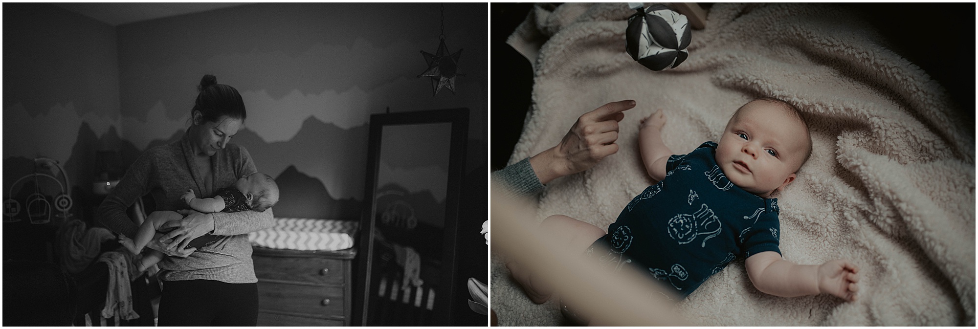 in-home-session, wallingford, wallingford-home, wallingford-seattle, lifestyle-session, newborn-session, baby-and-dog, seattle-lifestyle-photographer, seattle-wedding-photographer, wedding-photographer, newborn-photos, newborn, newborn-photography, 