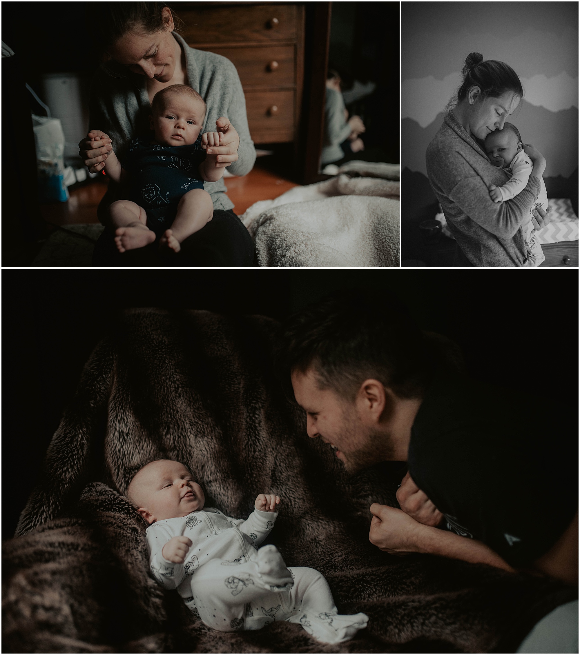 in-home-session, wallingford, wallingford-home, wallingford-seattle, lifestyle-session, newborn-session, baby-and-dog, seattle-lifestyle-photographer, seattle-wedding-photographer, wedding-photographer, newborn-photos, newborn, newborn-photography, 