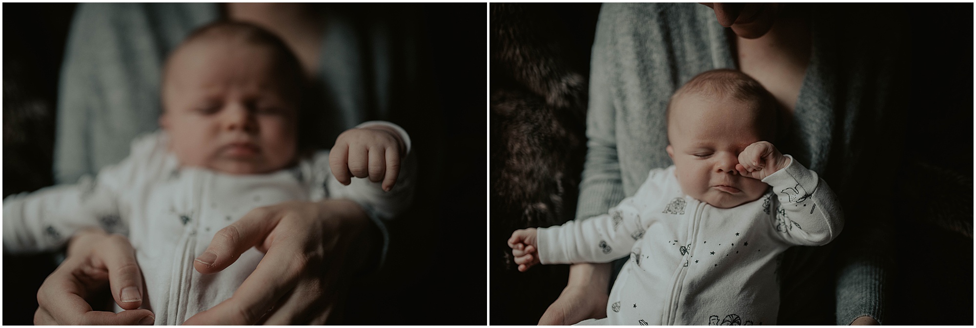 in-home-session, wallingford, wallingford-home, wallingford-seattle, lifestyle-session, newborn-session, baby-and-dog, seattle-lifestyle-photographer, seattle-wedding-photographer, wedding-photographer, newborn-photos, newborn, newborn-photography, 