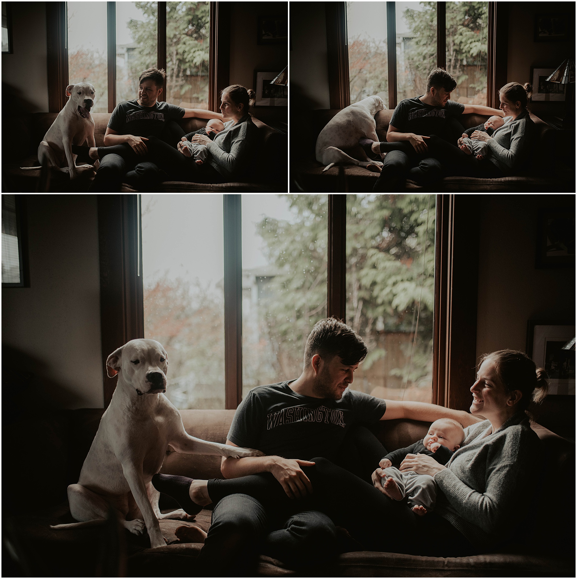 in-home-session, wallingford, wallingford-home, wallingford-seattle, lifestyle-session, newborn-session, baby-and-dog, seattle-lifestyle-photographer, seattle-wedding-photographer, wedding-photographer, newborn-photos, newborn, newborn-photography, 