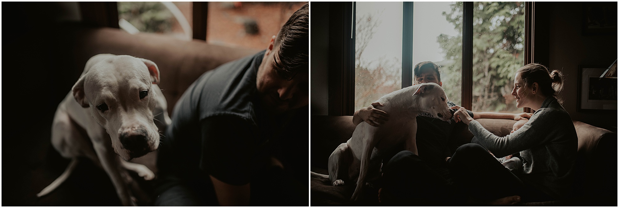 in-home-session, wallingford, wallingford-home, wallingford-seattle, lifestyle-session, newborn-session, baby-and-dog, seattle-lifestyle-photographer, seattle-wedding-photographer, wedding-photographer, newborn-photos, newborn, newborn-photography, 