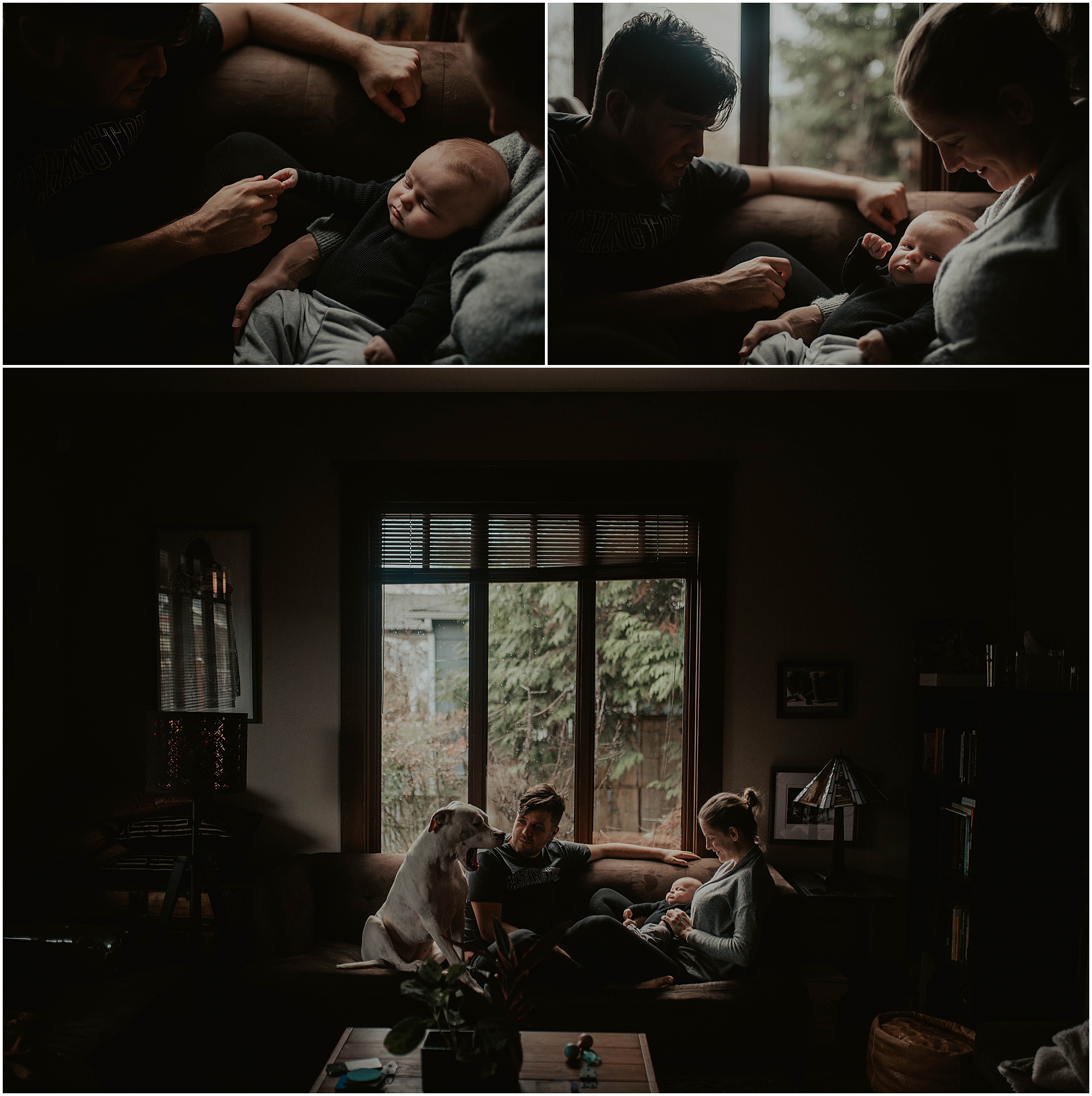 in-home-session, wallingford, wallingford-home, wallingford-seattle, lifestyle-session, newborn-session, baby-and-dog, seattle-lifestyle-photographer, seattle-wedding-photographer, wedding-photographer, newborn-photos, newborn, newborn-photography, 