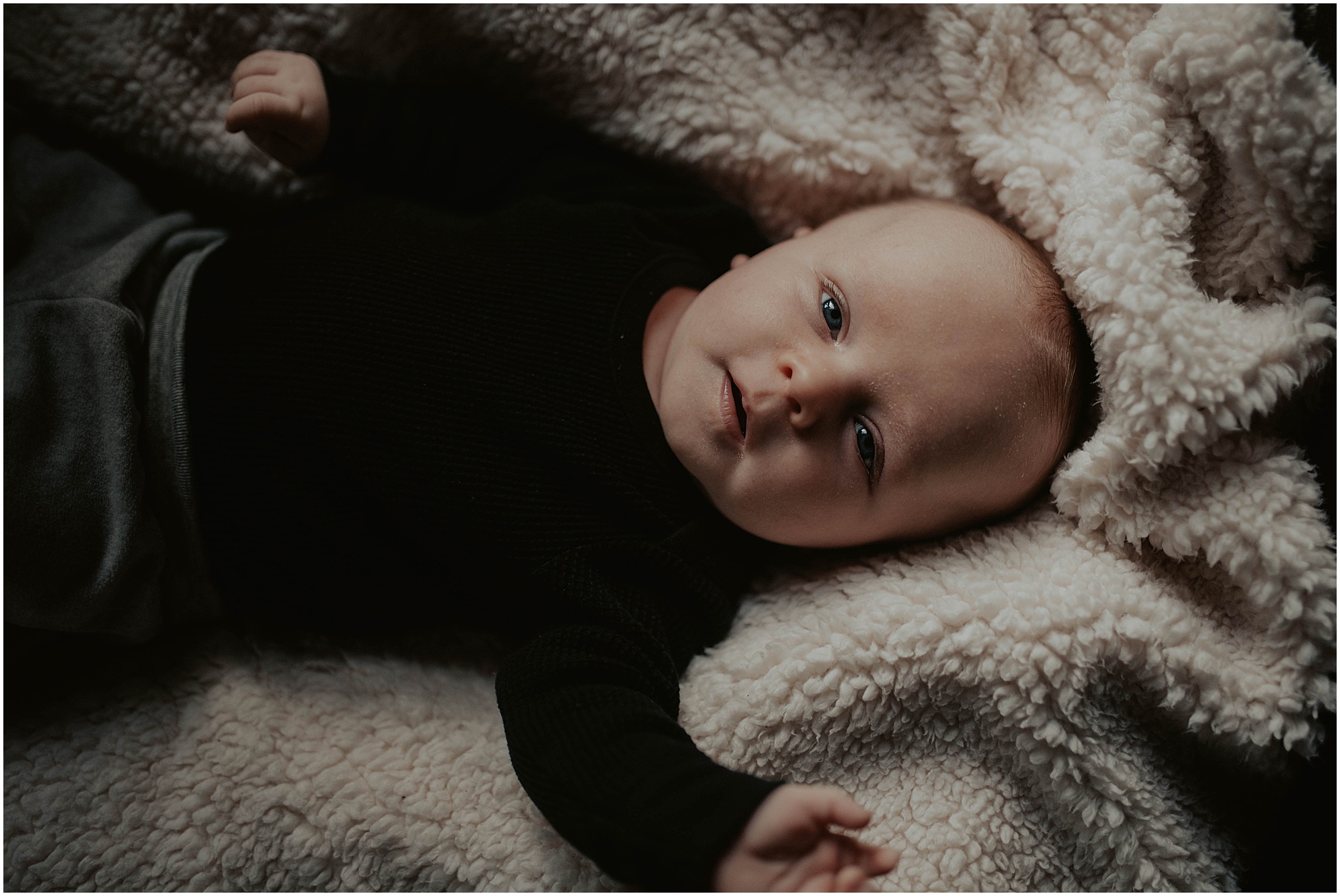 in-home-session, wallingford, wallingford-home, wallingford-seattle, lifestyle-session, newborn-session, baby-and-dog, seattle-lifestyle-photographer, seattle-wedding-photographer, wedding-photographer, newborn-photos, newborn, newborn-photography, 