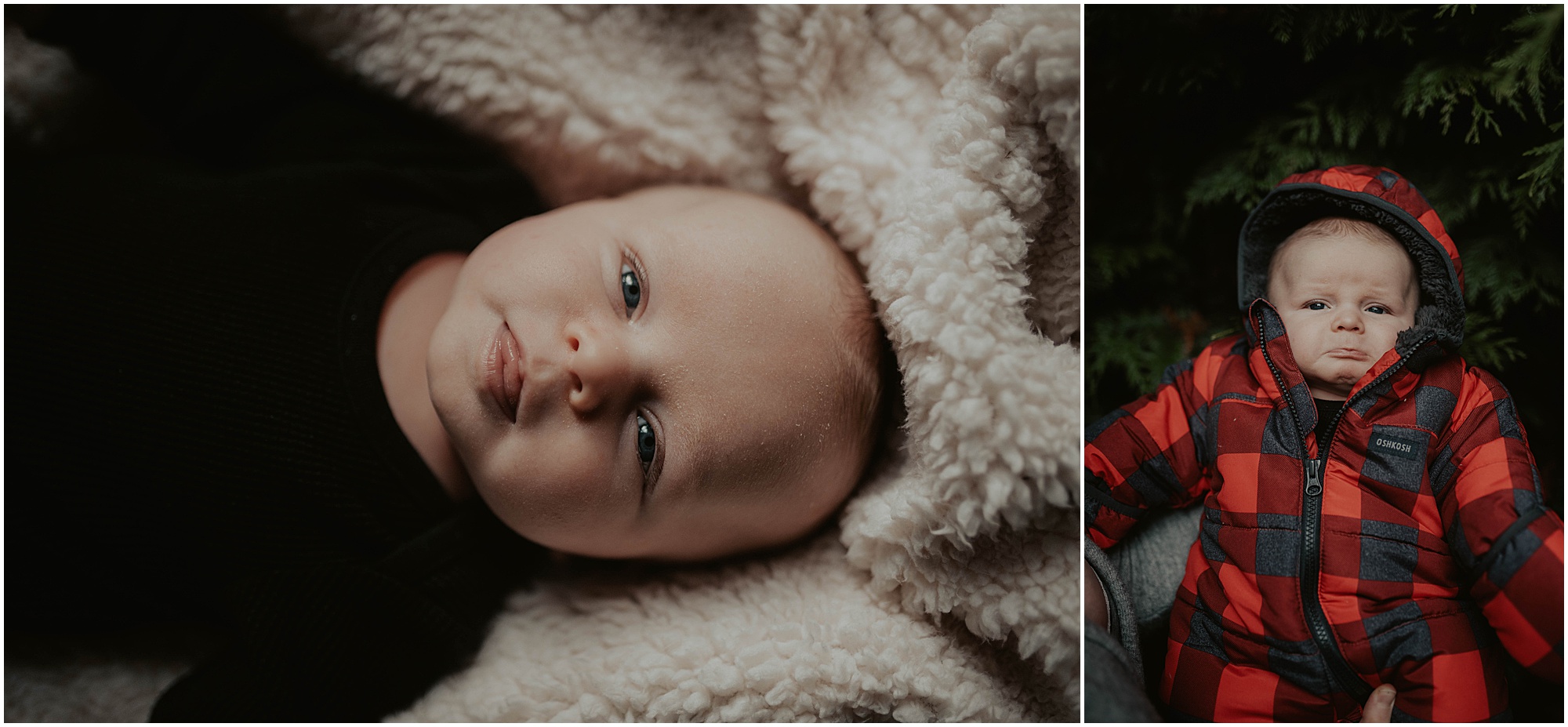 in-home-session, wallingford, wallingford-home, wallingford-seattle, lifestyle-session, newborn-session, baby-and-dog, seattle-lifestyle-photographer, seattle-wedding-photographer, wedding-photographer, newborn-photos, newborn, newborn-photography, 