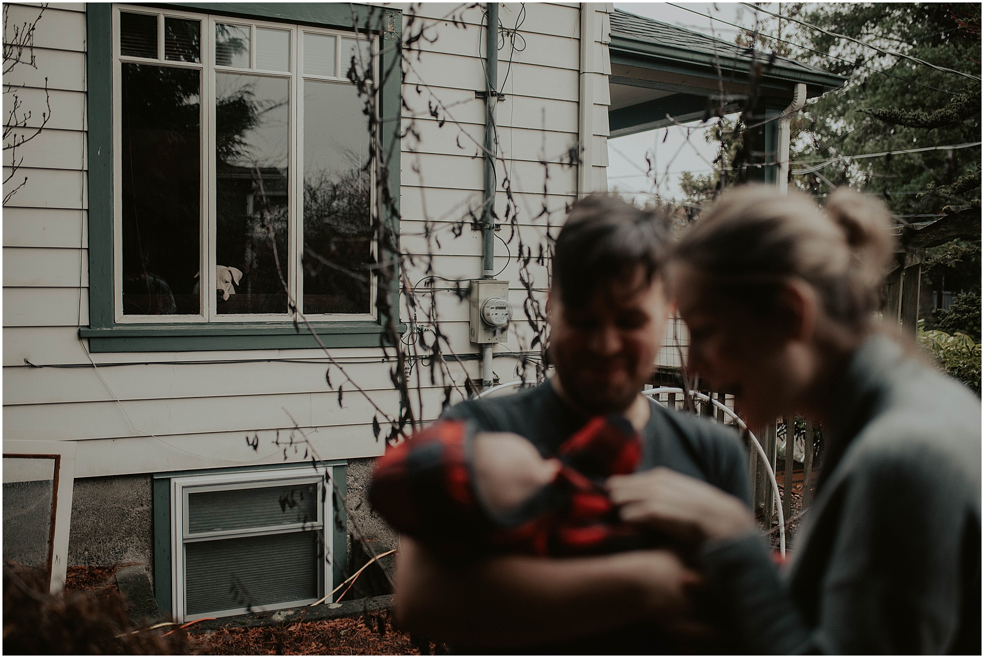 in-home-session, wallingford, wallingford-home, wallingford-seattle, lifestyle-session, newborn-session, baby-and-dog, seattle-lifestyle-photographer, seattle-wedding-photographer, wedding-photographer, newborn-photos, newborn, newborn-photography, 