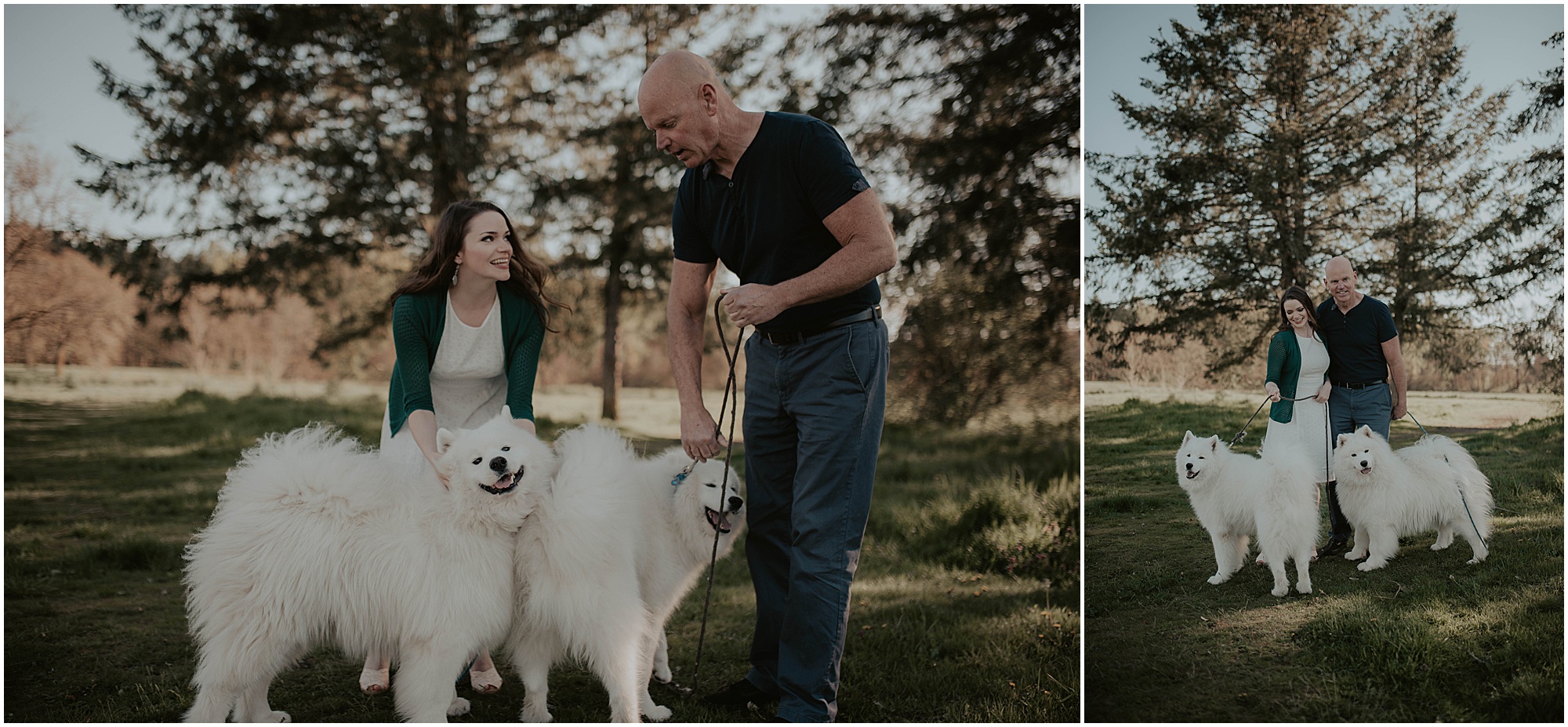 Seward-Park, Seattle-Engagement-photos, Engaged, Engagement-photos, Engagement-Session, Engagement-Photographer, Seattle-Wedding-Photographer, dog-session, Seattle-Intimate-Wedding, Seattle-Wedding, Wedding-Photos, Seattle-Wedding-Photos, outdoor-seattle-Wedding, samoyeds, samoyed-dogs, dog-engagement-photos, 