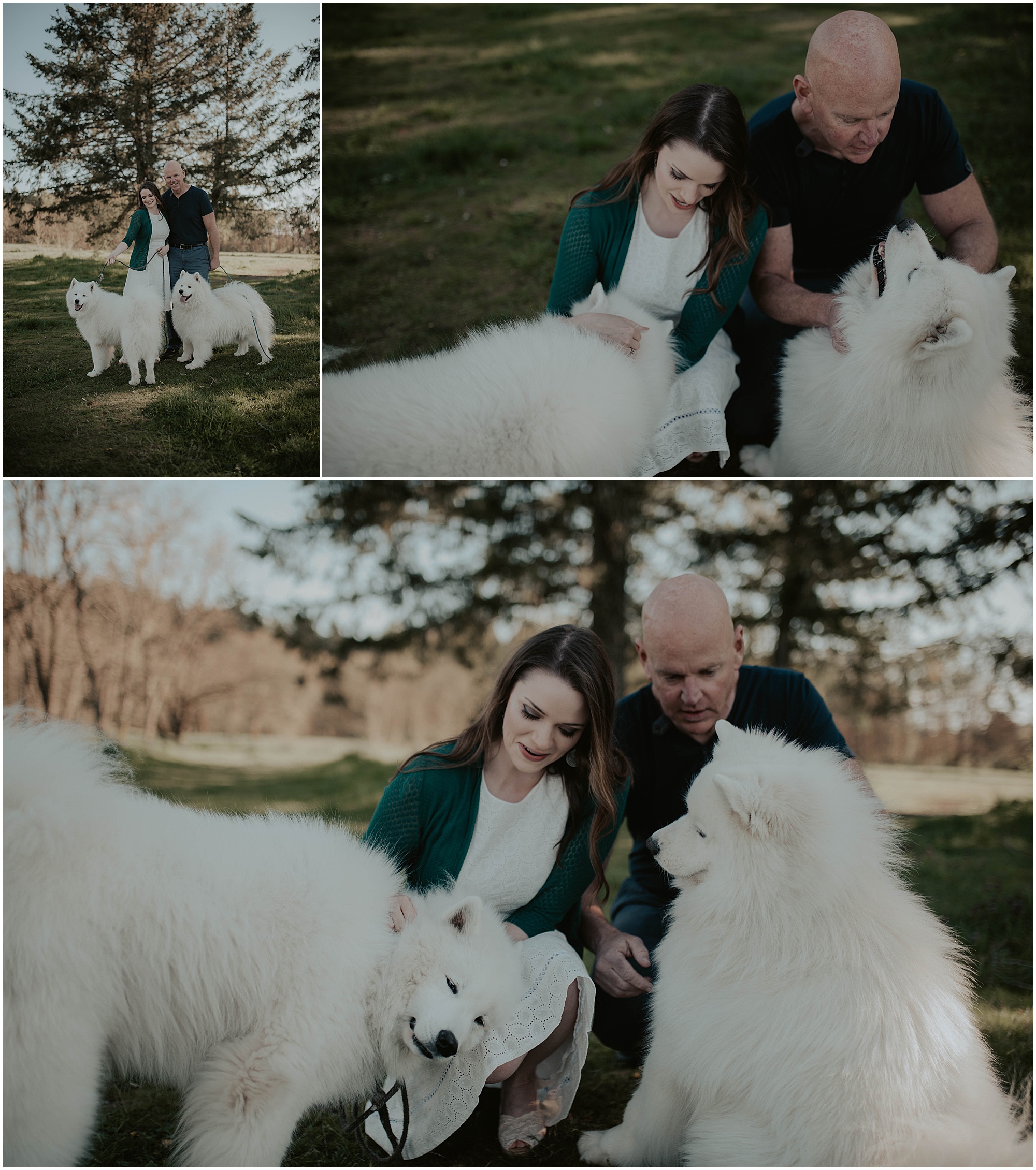 Seward-Park, Seattle-Engagement-photos, Engaged, Engagement-photos, Engagement-Session, Engagement-Photographer, Seattle-Wedding-Photographer, dog-session, Seattle-Intimate-Wedding, Seattle-Wedding, Wedding-Photos, Seattle-Wedding-Photos, outdoor-seattle-Wedding, samoyeds, samoyed-dogs, dog-engagement-photos, 