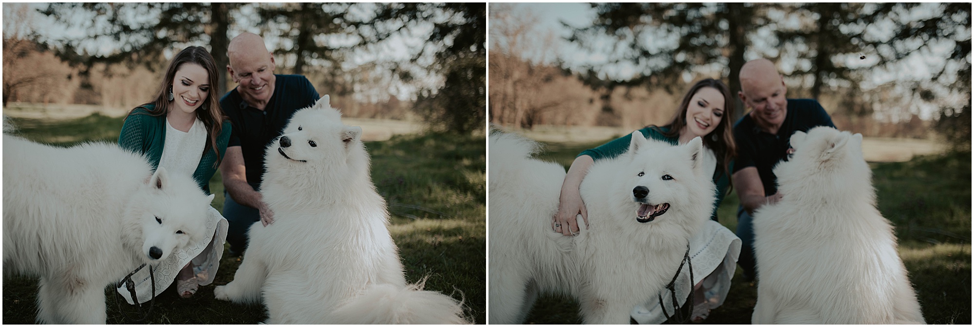 Seward-Park, Seattle-Engagement-photos, Engaged, Engagement-photos, Engagement-Session, Engagement-Photographer, Seattle-Wedding-Photographer, dog-session, Seattle-Intimate-Wedding, Seattle-Wedding, Wedding-Photos, Seattle-Wedding-Photos, outdoor-seattle-Wedding, samoyeds, samoyed-dogs, dog-engagement-photos, 