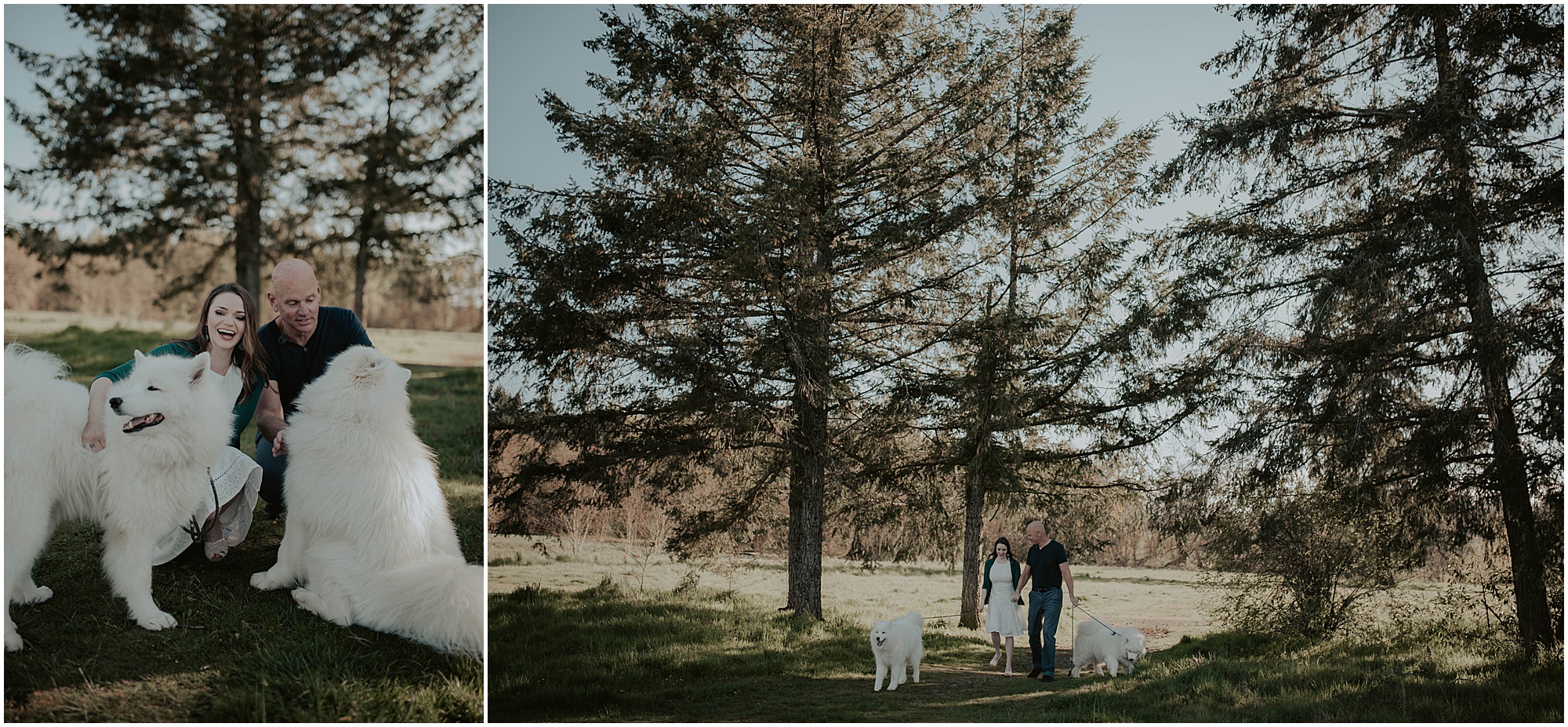 Seward-Park, Seattle-Engagement-photos, Engaged, Engagement-photos, Engagement-Session, Engagement-Photographer, Seattle-Wedding-Photographer, dog-session, Seattle-Intimate-Wedding, Seattle-Wedding, Wedding-Photos, Seattle-Wedding-Photos, outdoor-seattle-Wedding, samoyeds, samoyed-dogs, dog-engagement-photos, 