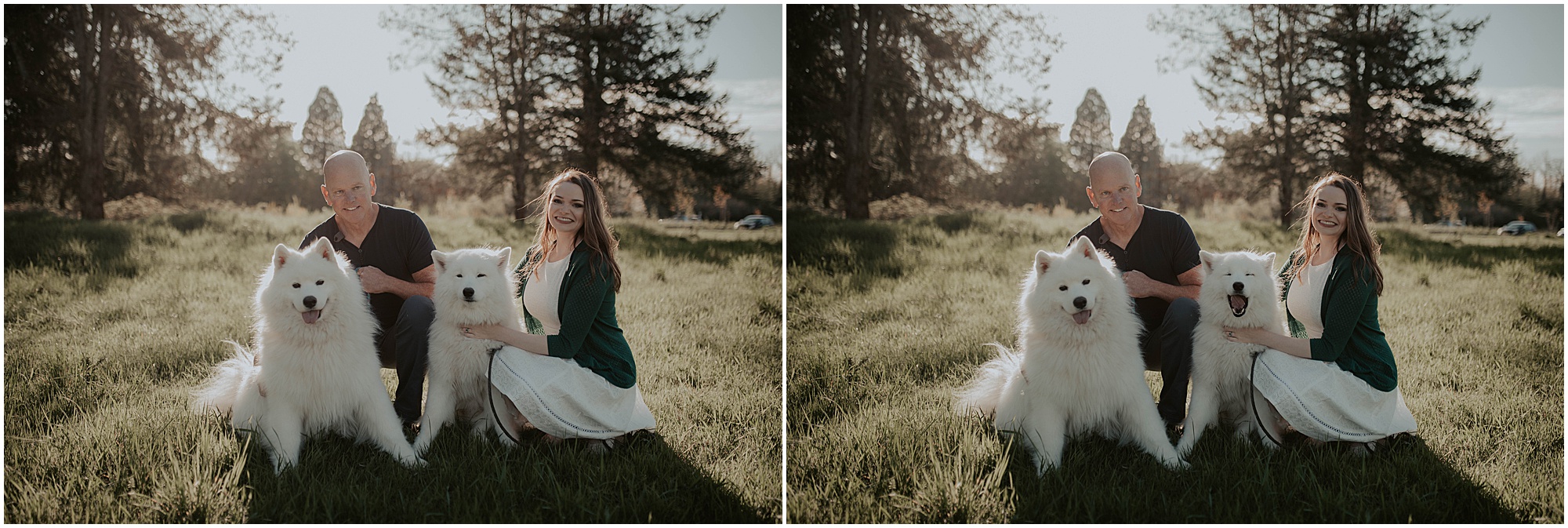 Seward-Park, Seattle-Engagement-photos, Engaged, Engagement-photos, Engagement-Session, Engagement-Photographer, Seattle-Wedding-Photographer, dog-session, Seattle-Intimate-Wedding, Seattle-Wedding, Wedding-Photos, Seattle-Wedding-Photos, outdoor-seattle-Wedding, samoyeds, samoyed-dogs, dog-engagement-photos, 