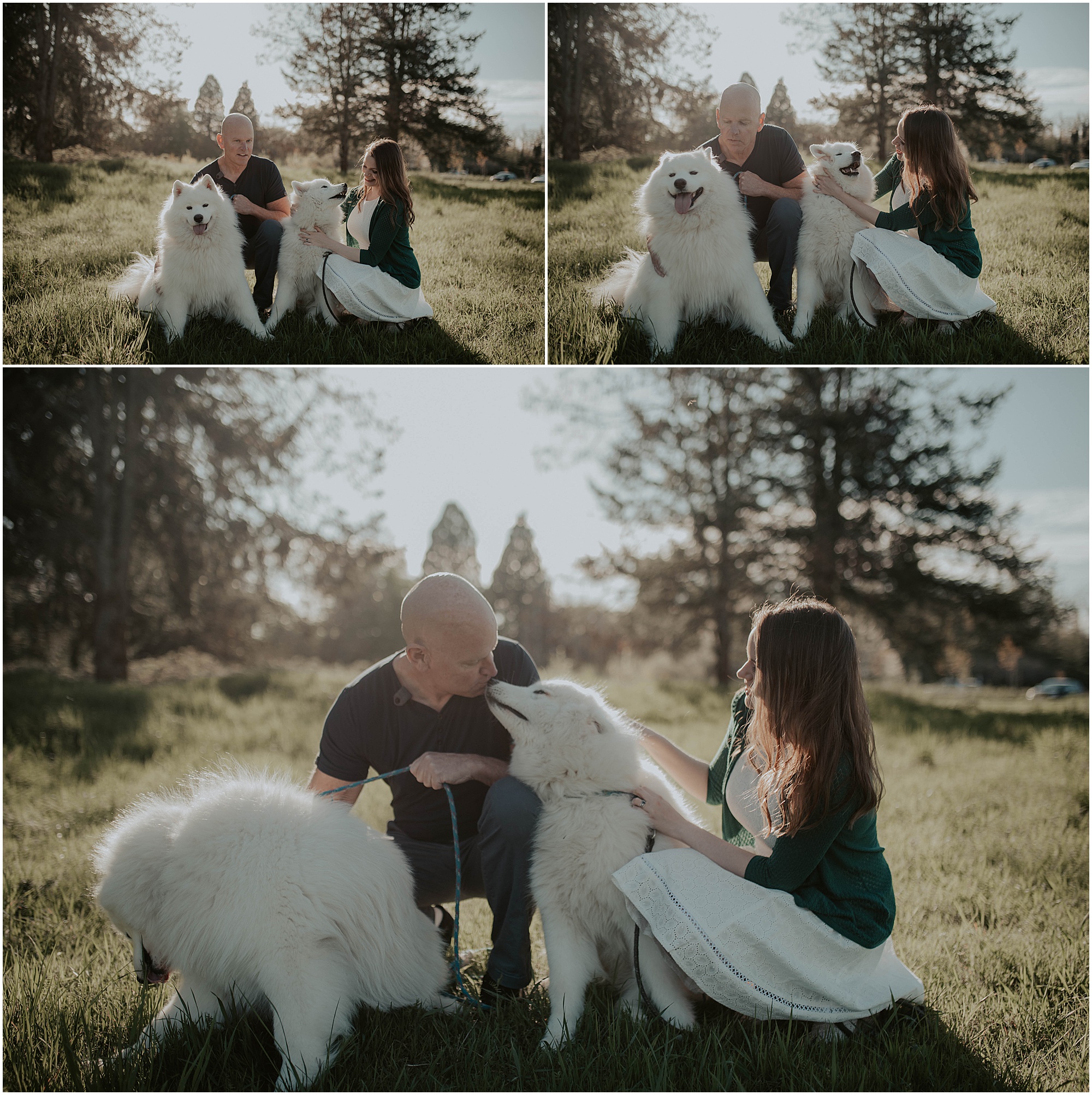 Seward-Park, Seattle-Engagement-photos, Engaged, Engagement-photos, Engagement-Session, Engagement-Photographer, Seattle-Wedding-Photographer, dog-session, Seattle-Intimate-Wedding, Seattle-Wedding, Wedding-Photos, Seattle-Wedding-Photos, outdoor-seattle-Wedding, samoyeds, samoyed-dogs, dog-engagement-photos, 