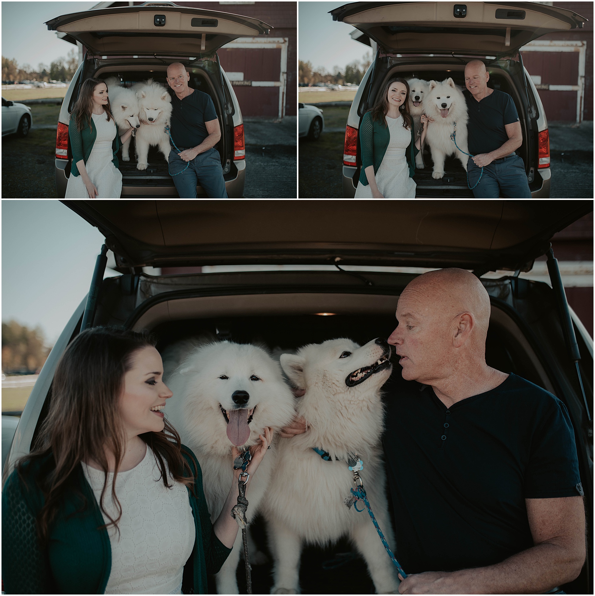 Seward-Park, Seattle-Engagement-photos, Engaged, Engagement-photos, Engagement-Session, Engagement-Photographer, Seattle-Wedding-Photographer, dog-session, Seattle-Intimate-Wedding, Seattle-Wedding, Wedding-Photos, Seattle-Wedding-Photos, outdoor-seattle-Wedding, samoyeds, samoyed-dogs, dog-engagement-photos, 