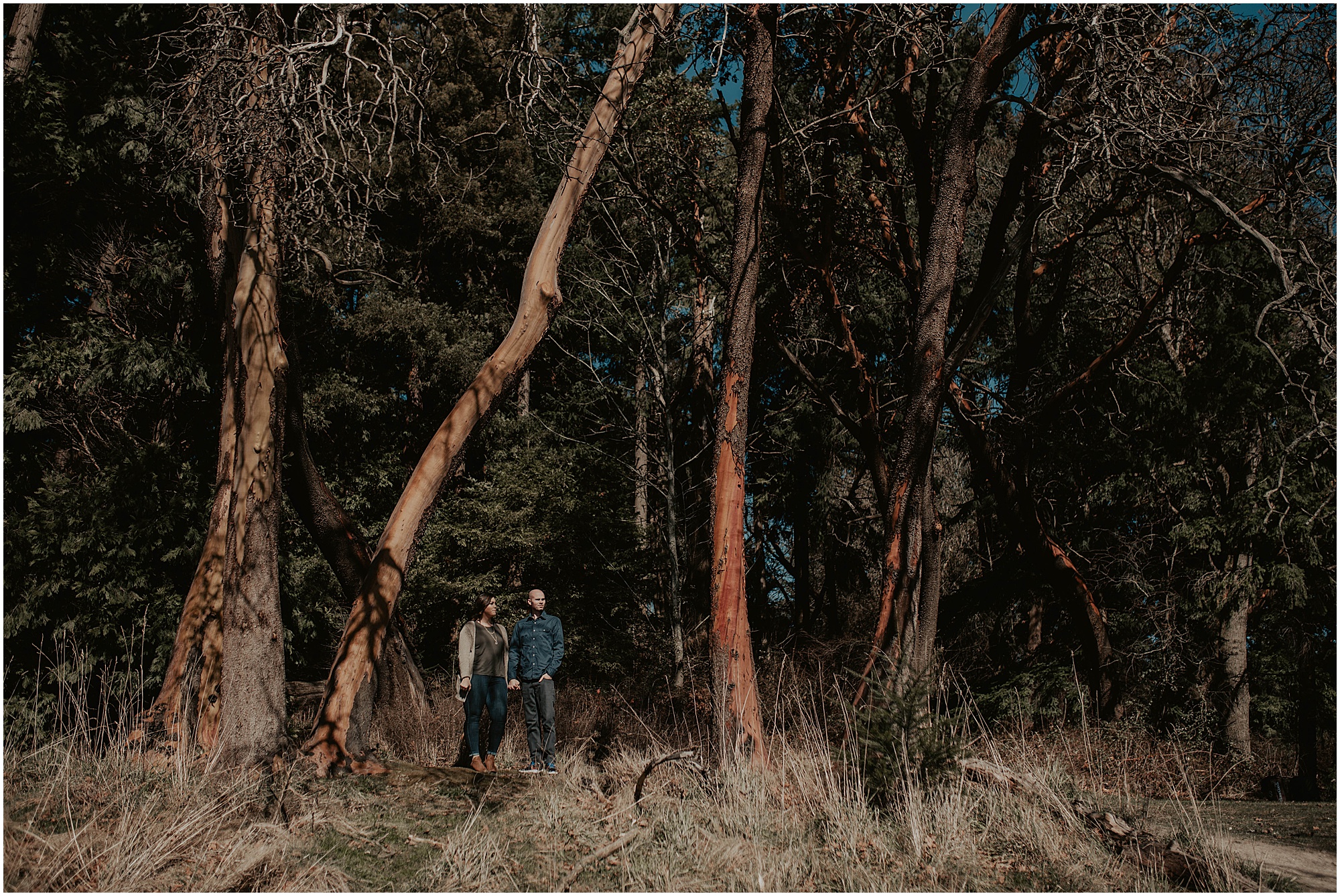 Seward-Park, Seattle-Engagement-photos, Engaged, Engagement-photos, Engagement-Session, Engagement-Photographer, Seattle-Wedding-Photographer, brewery, Seattle-Intimate-Wedding, Seattle-Wedding, Wedding-Photos, Seattle-Wedding-Photos, outdoor-seattle-Wedding, Forest-Wedding, Beer-Engagement, flying-lion, flying-lion-brewery,