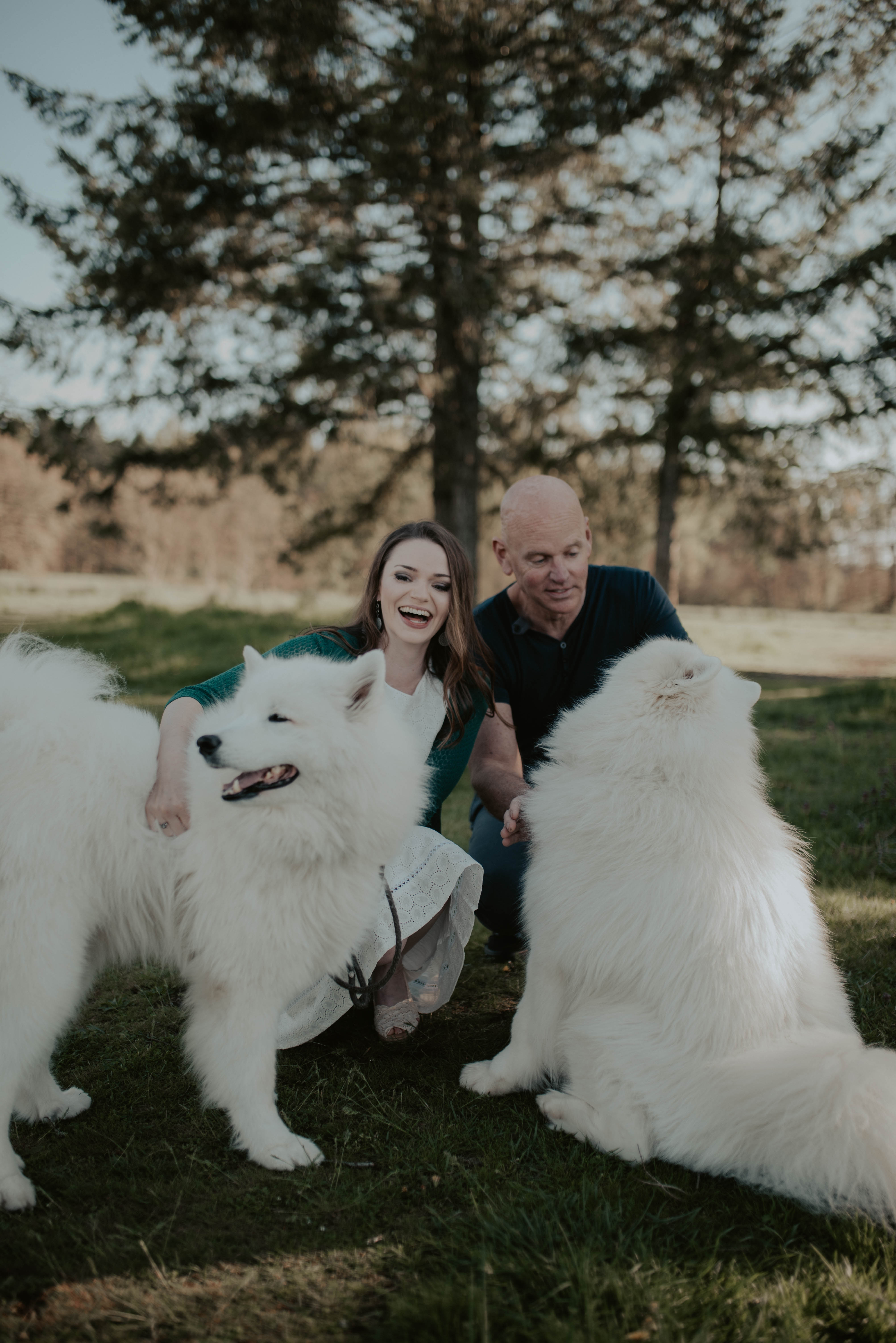 Hayley & Karl & The Samoyeds Royal and Ocho