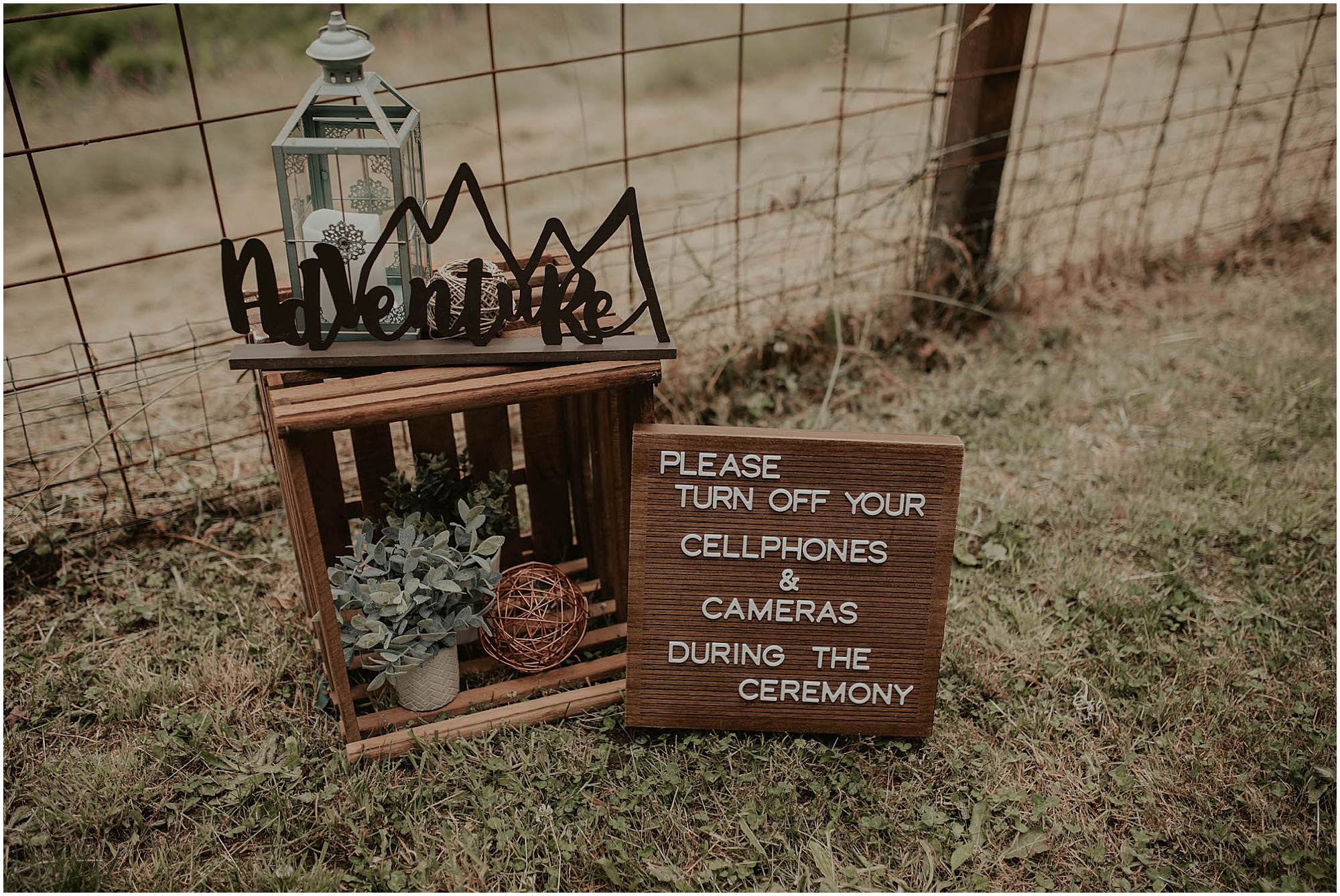 Forest-Wedding-Photos, Monroe-Wedding-Photos, Seattle-Wedding, Seattle-Wedding-Photographer, Outdoor-Wedding, Airbnb-Wedding-Photos, Washington-Wedding, DIY-Wedding, DIY-Outdoor-Wedding, Succulent-Wedding, Floral-Wedding, Mountain-Wedding, Colorado-Wedding, Washington-Wedding-Photographer, Adventure-Wedding, Hiking-Wedding, Hike-Wedding, Dog-Wedding,