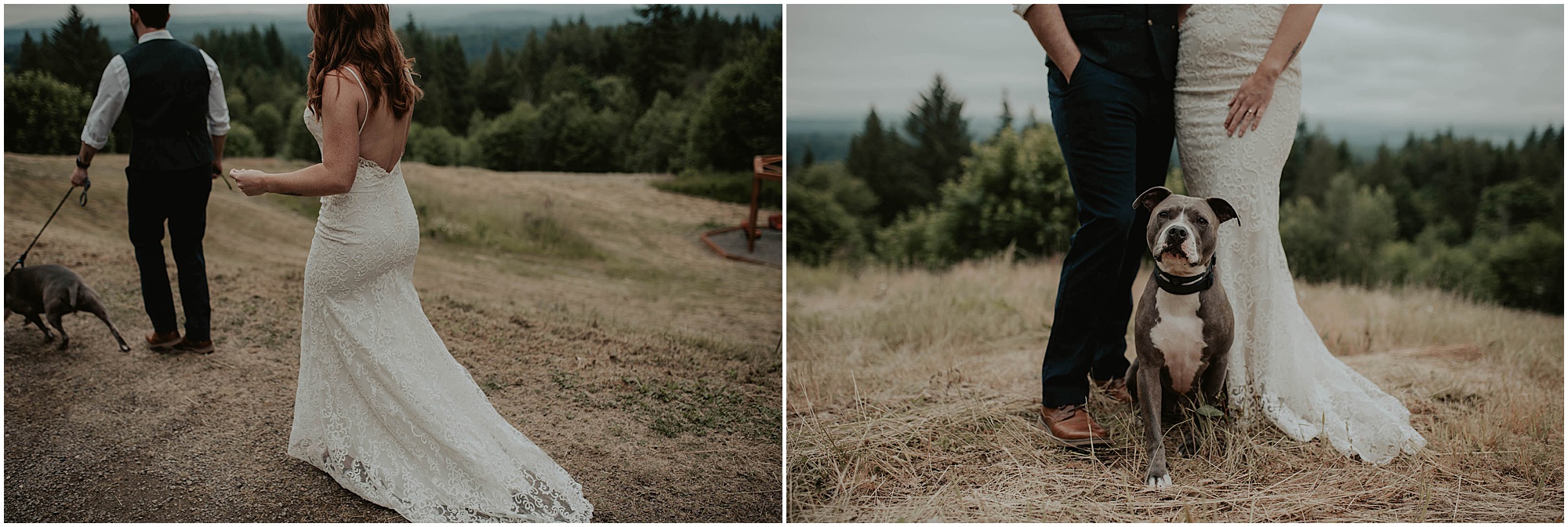 Forest-Wedding-Photos, Monroe-Wedding-Photos, Seattle-Wedding, Seattle-Wedding-Photographer, Outdoor-Wedding, Airbnb-Wedding-Photos, Washington-Wedding, DIY-Wedding, DIY-Outdoor-Wedding, Succulent-Wedding, Floral-Wedding, Mountain-Wedding, Colorado-Wedding, Washington-Wedding-Photographer, Adventure-Wedding, Hiking-Wedding, Hike-Wedding, Dog-Wedding,