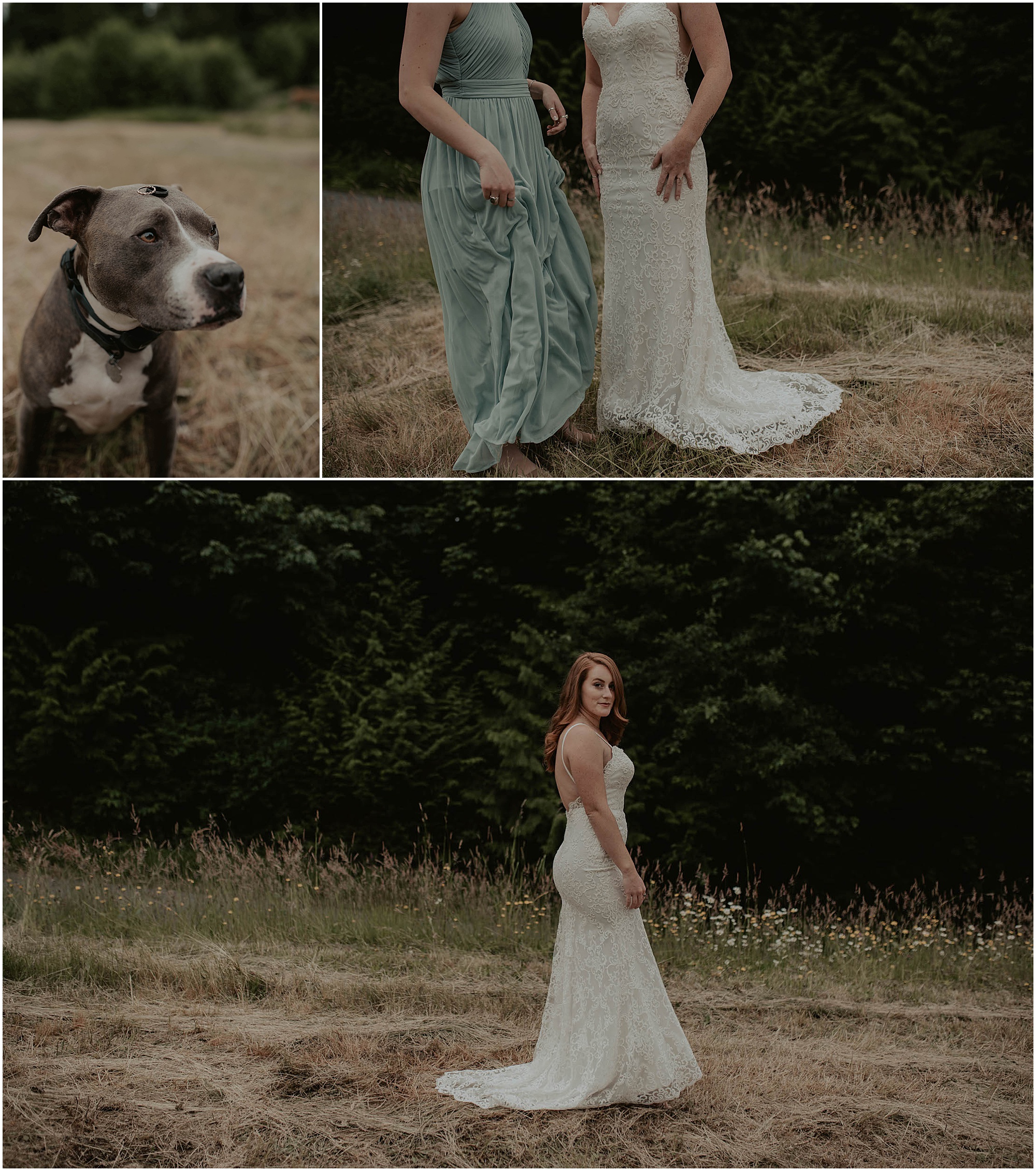 Forest-Wedding-Photos, Monroe-Wedding-Photos, Seattle-Wedding, Seattle-Wedding-Photographer, Outdoor-Wedding, Airbnb-Wedding-Photos, Washington-Wedding, DIY-Wedding, DIY-Outdoor-Wedding, Succulent-Wedding, Floral-Wedding, Mountain-Wedding, Colorado-Wedding, Washington-Wedding-Photographer, Adventure-Wedding, Hiking-Wedding, Hike-Wedding, Dog-Wedding,