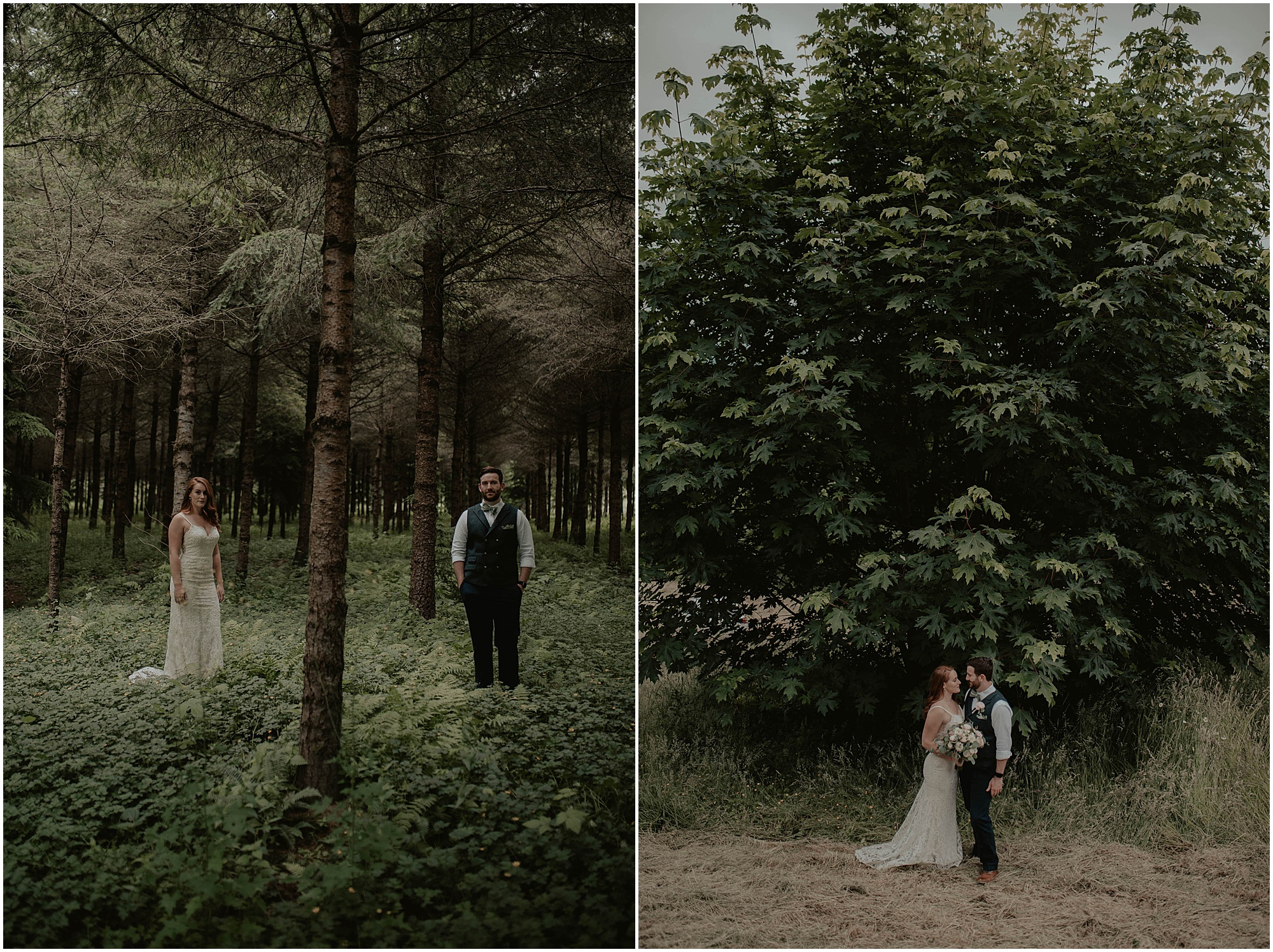 Forest-Wedding-Photos, Monroe-Wedding-Photos, Seattle-Wedding, Seattle-Wedding-Photographer, Outdoor-Wedding, Airbnb-Wedding-Photos, Washington-Wedding, DIY-Wedding, DIY-Outdoor-Wedding, Succulent-Wedding, Floral-Wedding, Mountain-Wedding, Colorado-Wedding, Washington-Wedding-Photographer, Adventure-Wedding, Hiking-Wedding, Hike-Wedding, Dog-Wedding,