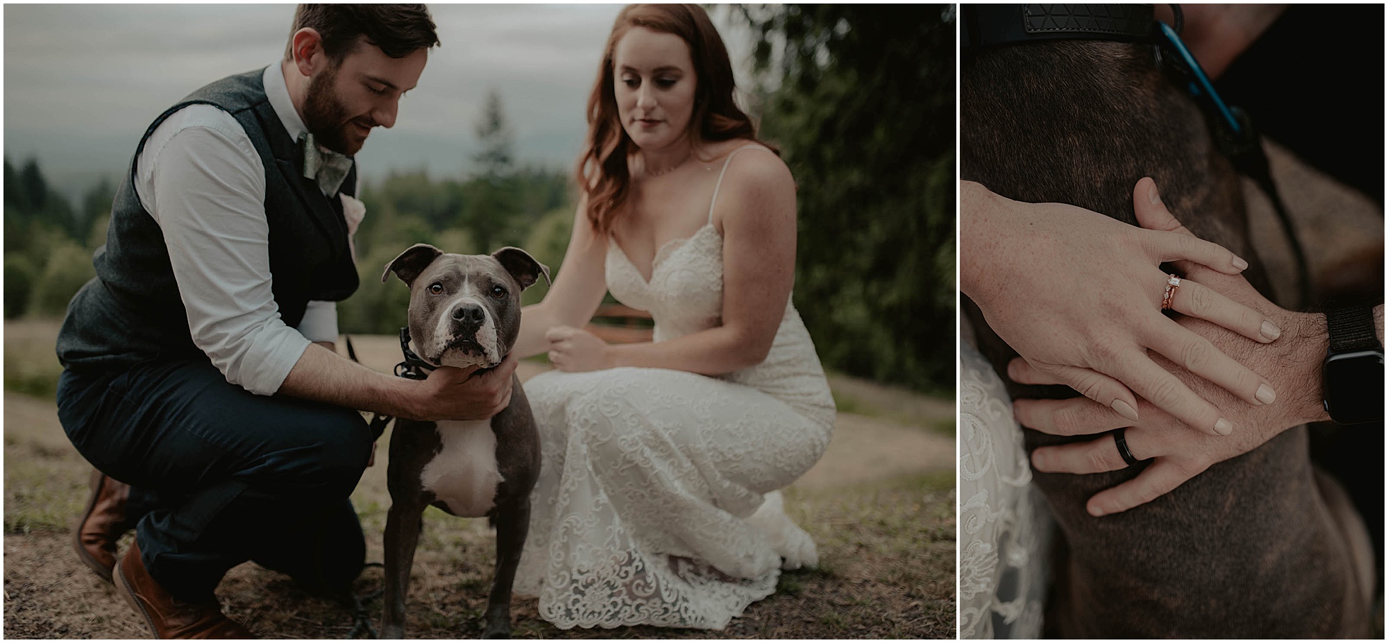 Forest-Wedding-Photos, Monroe-Wedding-Photos, Seattle-Wedding, Seattle-Wedding-Photographer, Outdoor-Wedding, Airbnb-Wedding-Photos, Washington-Wedding, DIY-Wedding, DIY-Outdoor-Wedding, Succulent-Wedding, Floral-Wedding, Mountain-Wedding, Colorado-Wedding, Washington-Wedding-Photographer, Adventure-Wedding, Hiking-Wedding, Hike-Wedding, Dog-Wedding,