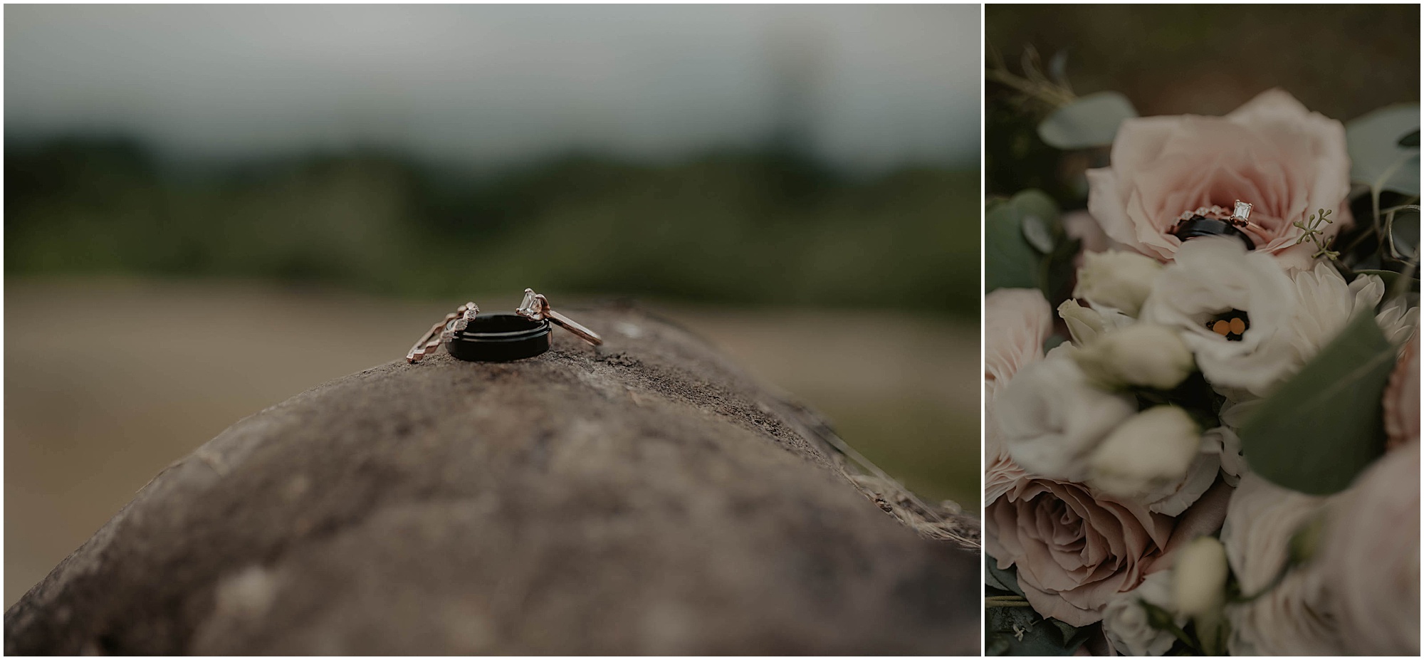 Forest-Wedding-Photos, Monroe-Wedding-Photos, Seattle-Wedding, Seattle-Wedding-Photographer, Outdoor-Wedding, Airbnb-Wedding-Photos, Washington-Wedding, DIY-Wedding, DIY-Outdoor-Wedding, Succulent-Wedding, Floral-Wedding, Mountain-Wedding, Colorado-Wedding, Washington-Wedding-Photographer, Adventure-Wedding, Hiking-Wedding, Hike-Wedding, Dog-Wedding,