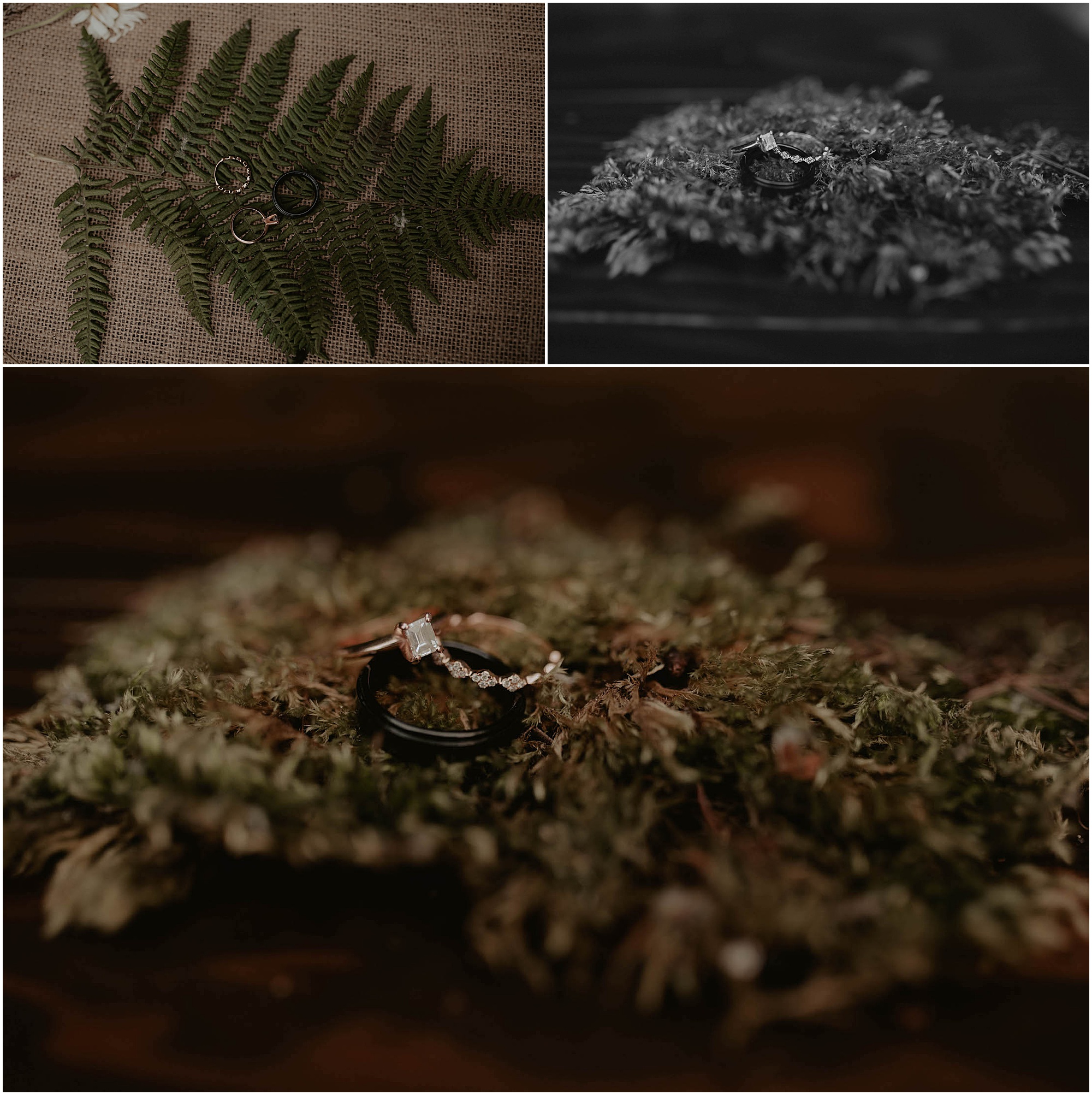 Forest-Wedding-Photos, Monroe-Wedding-Photos, Seattle-Wedding, Seattle-Wedding-Photographer, Outdoor-Wedding, Airbnb-Wedding-Photos, Washington-Wedding, DIY-Wedding, DIY-Outdoor-Wedding, Succulent-Wedding, Floral-Wedding, Mountain-Wedding, Colorado-Wedding, Washington-Wedding-Photographer, Adventure-Wedding, Hiking-Wedding, Hike-Wedding, Dog-Wedding,