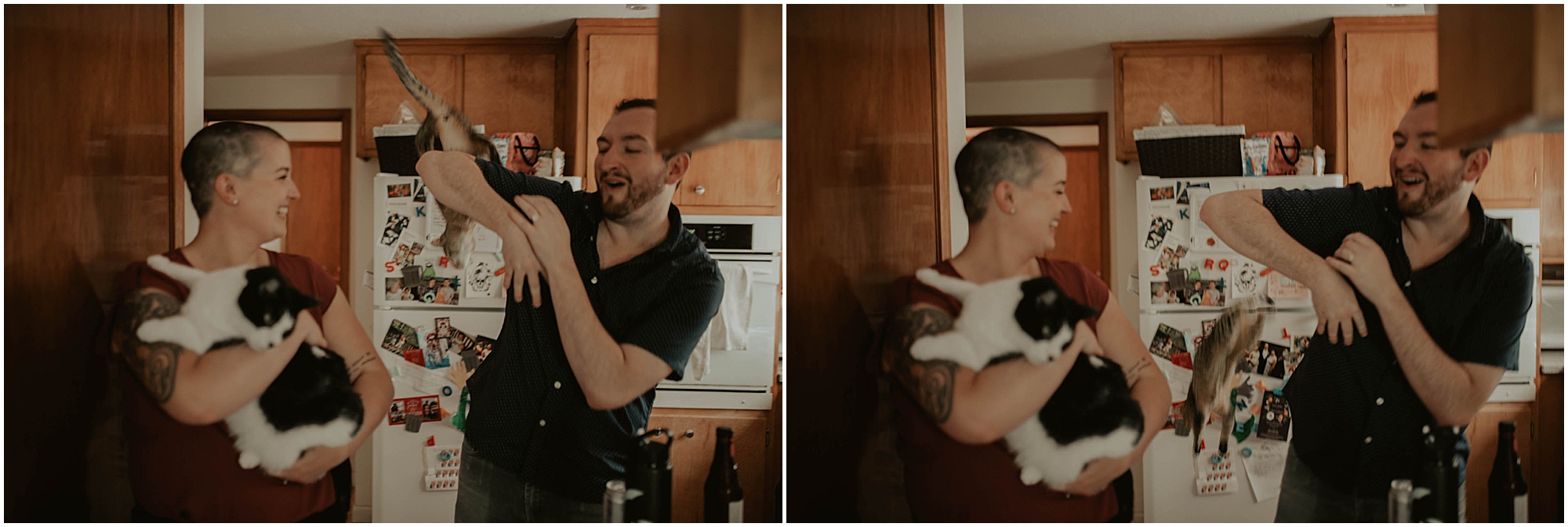 Seattle-Photographer, California-Wedding-Photographer, Fremont-Seattle, Fremont-Photographer, Fremont, Fremont-Home-Session, Seattle-Wedding-Photographer, CA-Wedding-Photographer, Seattle-Engagement-Photography, Colorado-Photographer, Cat-Photoshoot, Engagement-Inspiration, Seattle-Couple, Cat-Home-Session, Cat-Family, Seattle-Cats, Fremont-Cats,