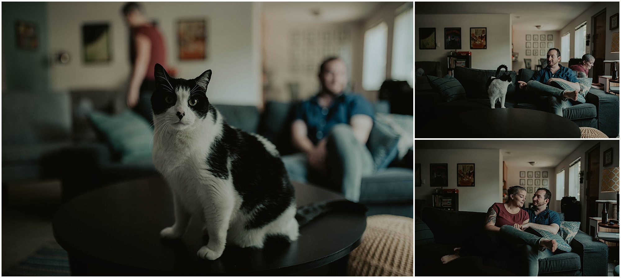 Seattle-Photographer, California-Wedding-Photographer, Fremont-Seattle, Fremont-Photographer, Fremont, Fremont-Home-Session, Seattle-Wedding-Photographer, CA-Wedding-Photographer, Seattle-Engagement-Photography, Colorado-Photographer, Cat-Photoshoot, Engagement-Inspiration, Seattle-Couple, Cat-Home-Session, Cat-Family, Seattle-Cats, Fremont-Cats,