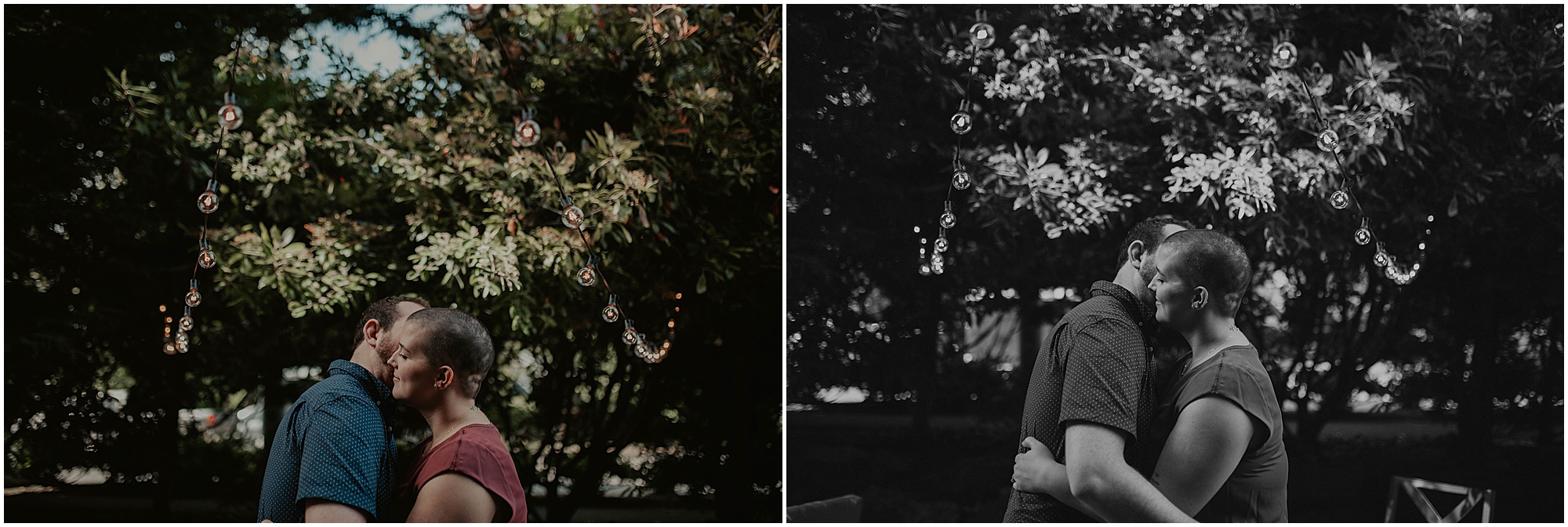 Seattle-Photographer, California-Wedding-Photographer, Fremont-Seattle, Fremont-Photographer, Fremont, Fremont-Home-Session, Seattle-Wedding-Photographer, CA-Wedding-Photographer, Seattle-Engagement-Photography, Colorado-Photographer, Cat-Photoshoot, Engagement-Inspiration, Seattle-Couple, Cat-Home-Session, Cat-Family, Seattle-Cats, Fremont-Cats,