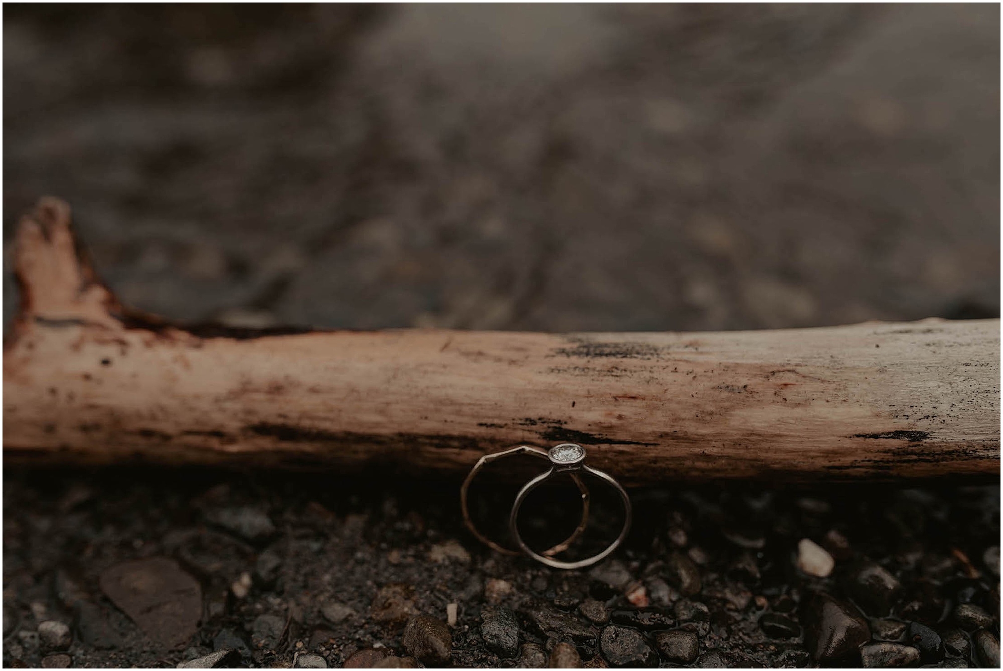 Olympic-National-Park, Snohomish-Wedding, Snohomish-Wedding-Photos, Tent-Wedding, Fourth-July-Wedding, Forest-Wedding-Photos, Olympic-National-Park-Wedding-Photos, Seattle-Wedding, Seattle-Wedding-Photographer, Outdoor-Wedding, Airbnb-Wedding-Photos, Washington-Wedding, Airbnb-Wedding, DIY-Outdoor-Wedding, Olympic-Park-Wedding, Lake-Wedding, Mountain-Wedding, Colorado-Wedding, Washington-Wedding-Photographer, Adventure-Wedding, Hiking-Wedding, Hike-Wedding, Dog-Wedding,