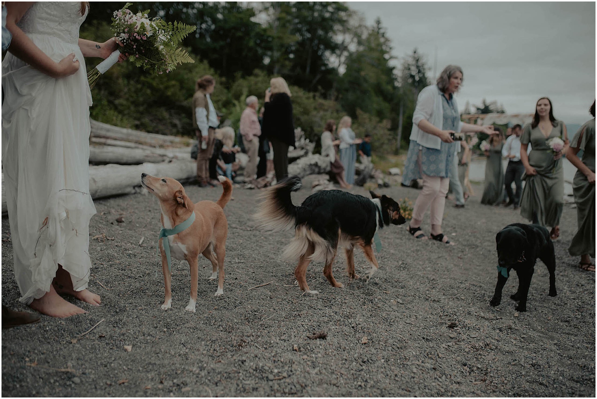 Olympic-National-Park, Snohomish-Wedding, Snohomish-Wedding-Photos, Tent-Wedding, Fourth-July-Wedding, Forest-Wedding-Photos, Olympic-National-Park-Wedding-Photos, Seattle-Wedding, Seattle-Wedding-Photographer, Outdoor-Wedding, Airbnb-Wedding-Photos, Washington-Wedding, Airbnb-Wedding, DIY-Outdoor-Wedding, Olympic-Park-Wedding, Lake-Wedding, Mountain-Wedding, Colorado-Wedding, Washington-Wedding-Photographer, Adventure-Wedding, Hiking-Wedding, Hike-Wedding, Dog-Wedding,