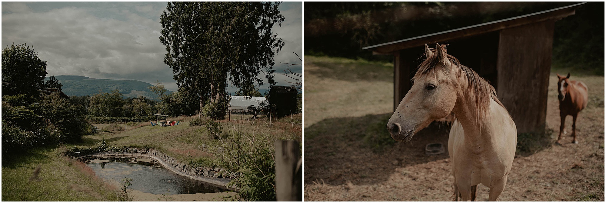 Olympic-National-Park, Snohomish-Wedding, Snohomish-Wedding-Photos, Tent-Wedding, Fourth-July-Wedding, Forest-Wedding-Photos, Olympic-National-Park-Wedding-Photos, Seattle-Wedding, Seattle-Wedding-Photographer, Outdoor-Wedding, Airbnb-Wedding-Photos, Washington-Wedding, Airbnb-Wedding, DIY-Outdoor-Wedding, Olympic-Park-Wedding, Lake-Wedding, Mountain-Wedding, Colorado-Wedding, Washington-Wedding-Photographer, Adventure-Wedding, Hiking-Wedding, Hike-Wedding, Dog-Wedding,