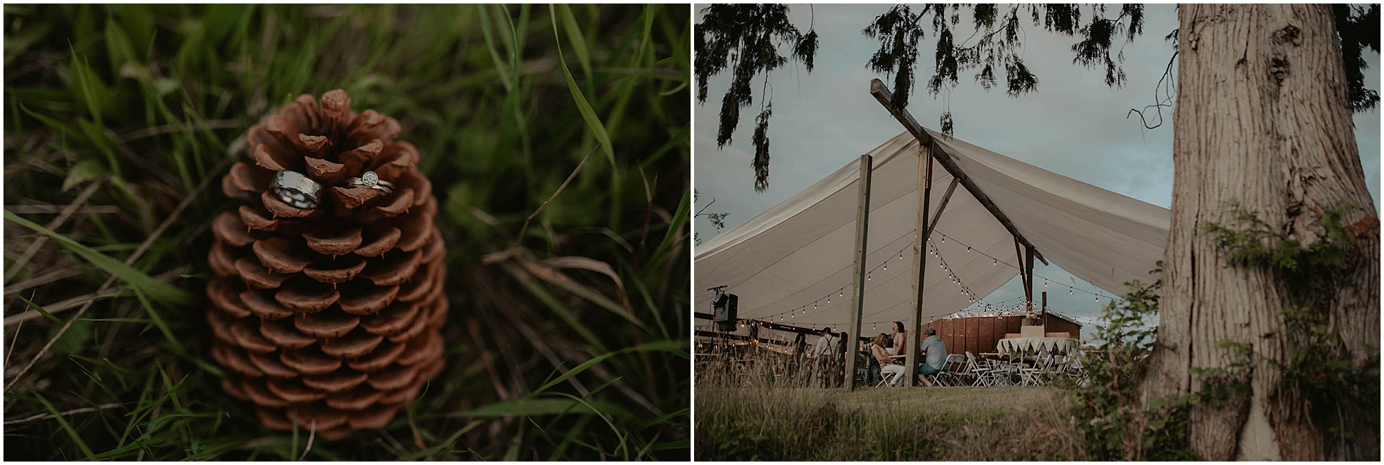 Olympic-National-Park, Snohomish-Wedding, Snohomish-Wedding-Photos, Tent-Wedding, Fourth-July-Wedding, Forest-Wedding-Photos, Olympic-National-Park-Wedding-Photos, Seattle-Wedding, Seattle-Wedding-Photographer, Outdoor-Wedding, Airbnb-Wedding-Photos, Washington-Wedding, Airbnb-Wedding, DIY-Outdoor-Wedding, Olympic-Park-Wedding, Lake-Wedding, Mountain-Wedding, Colorado-Wedding, Washington-Wedding-Photographer, Adventure-Wedding, Hiking-Wedding, Hike-Wedding, Dog-Wedding,