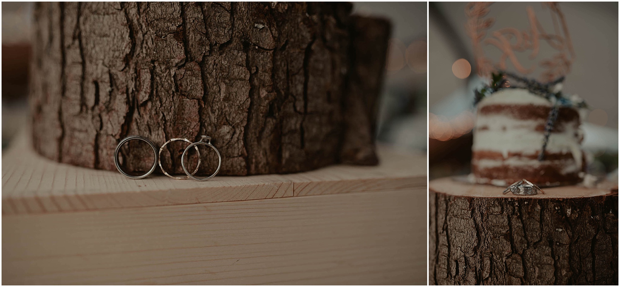 Olympic-National-Park, Snohomish-Wedding, Snohomish-Wedding-Photos, Tent-Wedding, Fourth-July-Wedding, Forest-Wedding-Photos, Olympic-National-Park-Wedding-Photos, Seattle-Wedding, Seattle-Wedding-Photographer, Outdoor-Wedding, Airbnb-Wedding-Photos, Washington-Wedding, Airbnb-Wedding, DIY-Outdoor-Wedding, Olympic-Park-Wedding, Lake-Wedding, Mountain-Wedding, Colorado-Wedding, Washington-Wedding-Photographer, Adventure-Wedding, Hiking-Wedding, Hike-Wedding, Dog-Wedding,