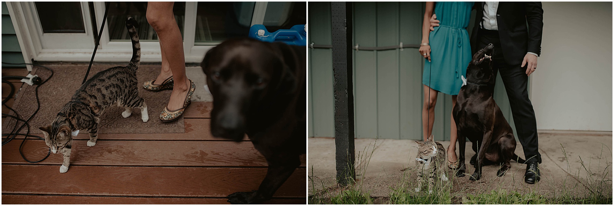 Elopement, Downtown-Shohomish, Courthouse-Elopement, Seattle-Wedding-Photos, Seattle-Wedding-Photographer, Snohomish-Seattle-Wedding-Photographer, Seattle-Elopement, Seattle-Elopement-Photography, Courthouse-Elopement-Photos, Kendra-K-Photo, Intimate-Seattle-Wedding, Courthouse-Wedding-photographer, Snohomish-Wedding, Snohomish-elopement, Everett-Courthouse-Wedding, Downtown-Everett-Courthouse, 