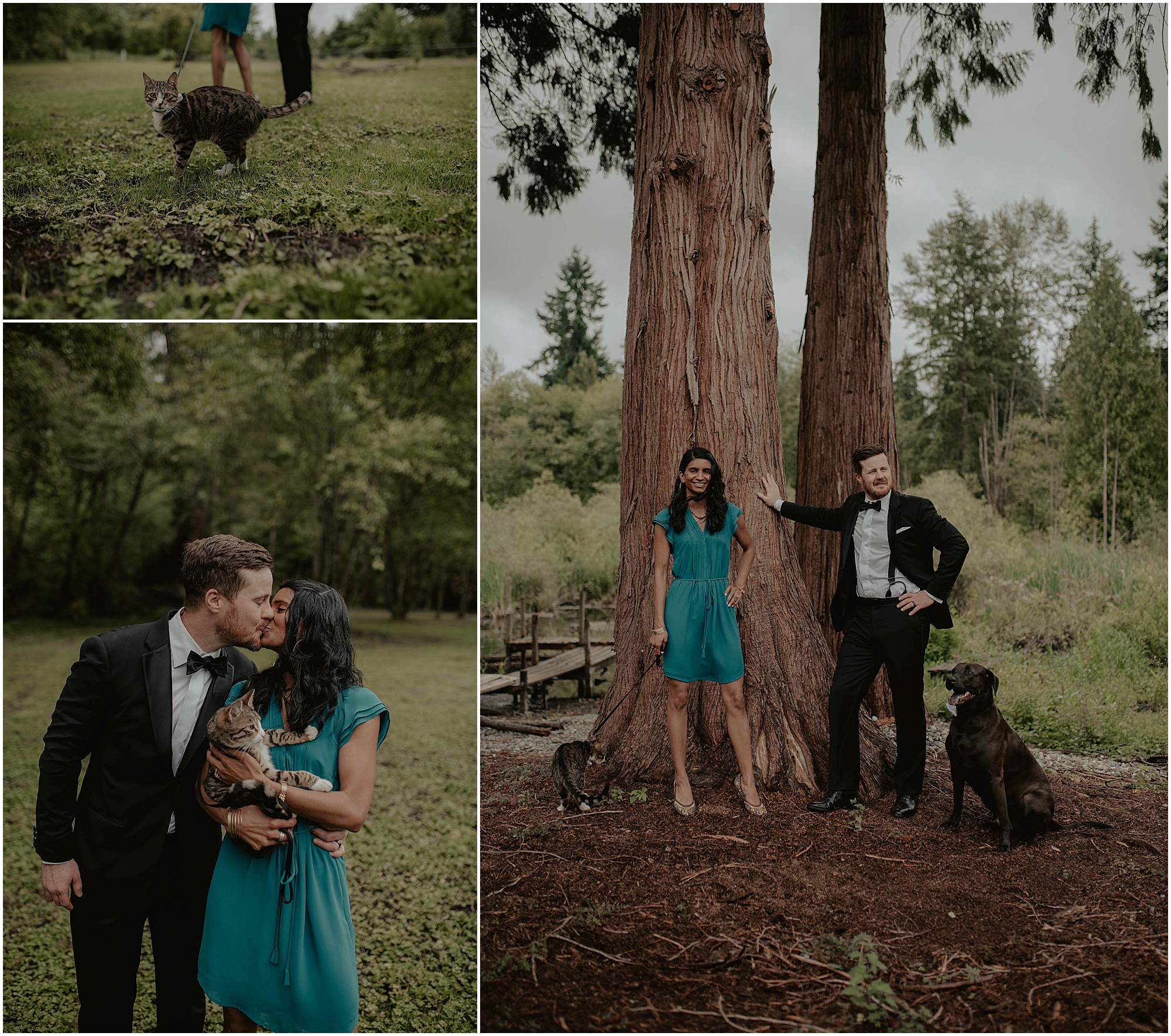 Elopement, Downtown-Shohomish, Courthouse-Elopement, Seattle-Wedding-Photos, Seattle-Wedding-Photographer, Snohomish-Seattle-Wedding-Photographer, Seattle-Elopement, Seattle-Elopement-Photography, Courthouse-Elopement-Photos, Kendra-K-Photo, Intimate-Seattle-Wedding, Courthouse-Wedding-photographer, Snohomish-Wedding, Snohomish-elopement, Everett-Courthouse-Wedding, Downtown-Everett-Courthouse, 