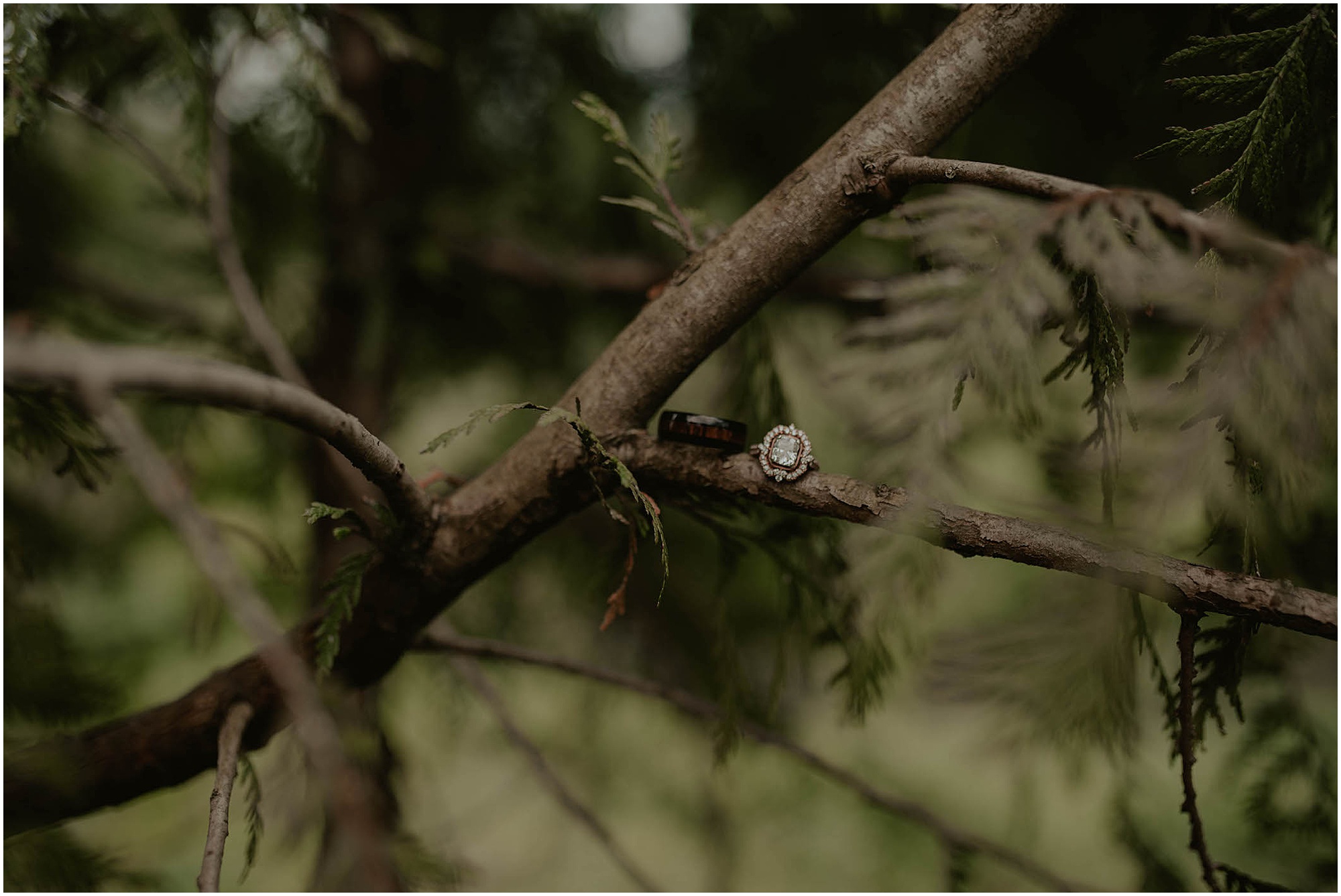 Elopement, Downtown-Shohomish, Courthouse-Elopement, Seattle-Wedding-Photos, Seattle-Wedding-Photographer, Snohomish-Seattle-Wedding-Photographer, Seattle-Elopement, Seattle-Elopement-Photography, Courthouse-Elopement-Photos, Kendra-K-Photo, Intimate-Seattle-Wedding, Courthouse-Wedding-photographer, Snohomish-Wedding, Snohomish-elopement, Everett-Courthouse-Wedding, Downtown-Everett-Courthouse, 